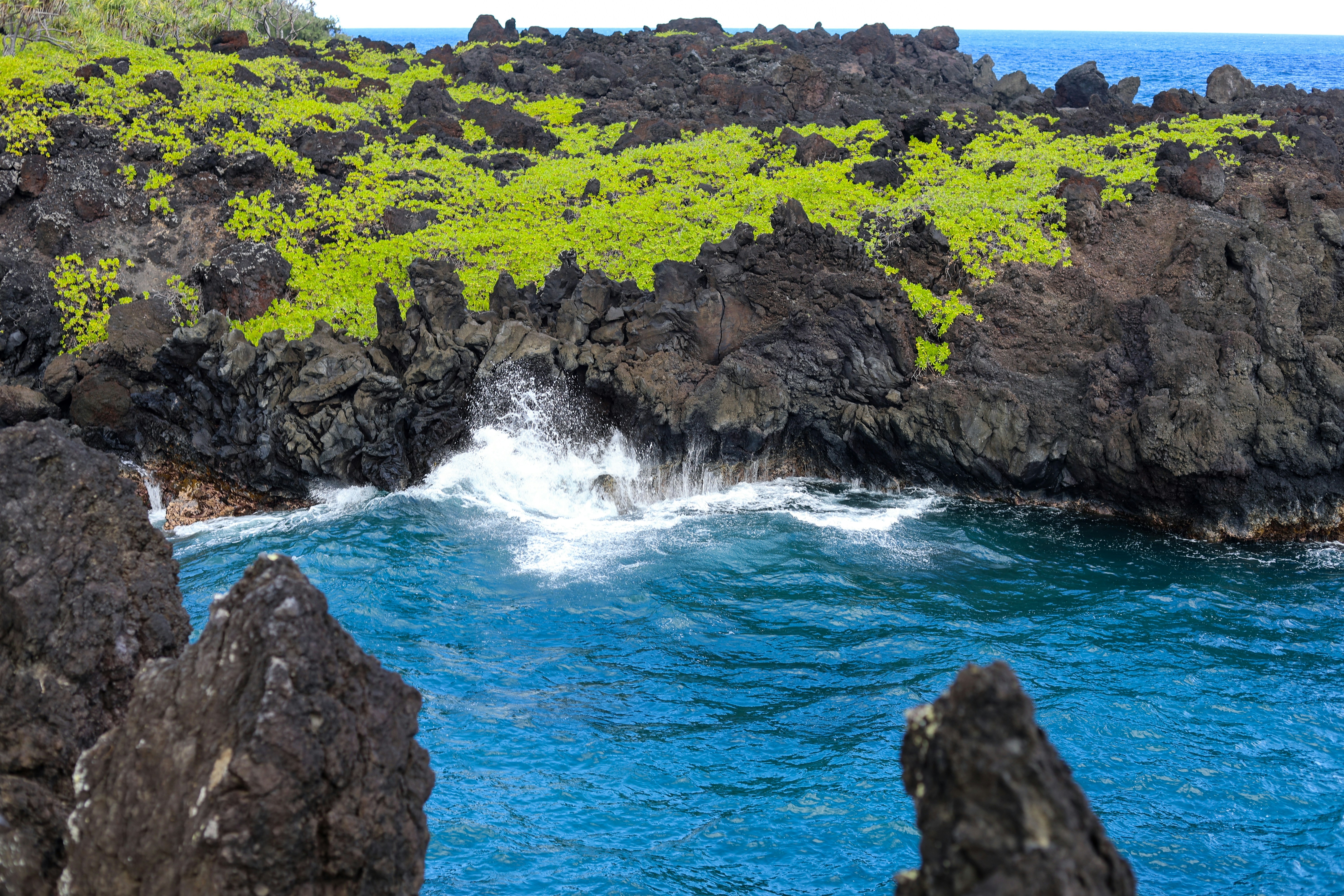 Photo by chaitanya_rayampally