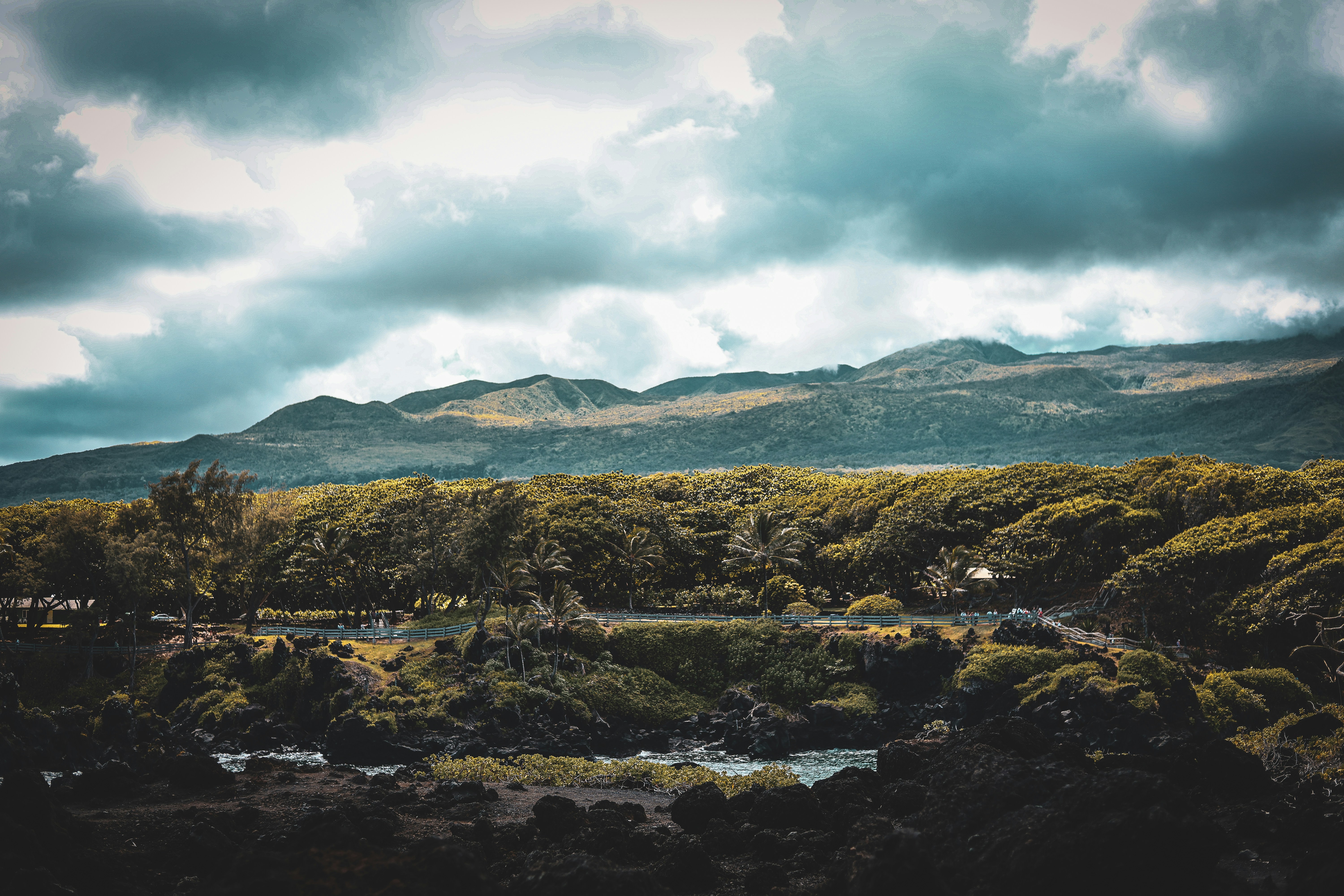 Photo by chaitanya_rayampally