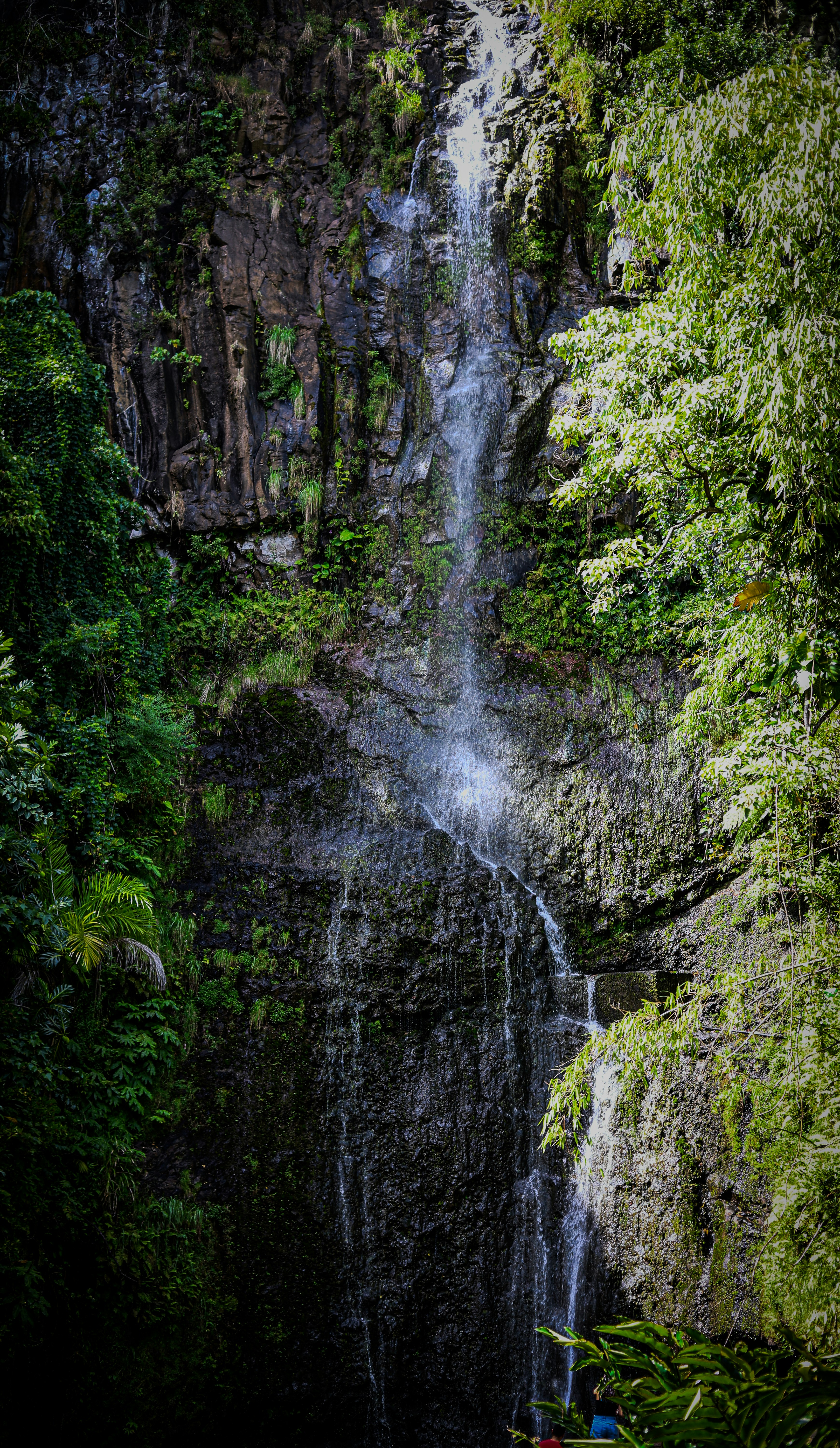 Photo by chaitanya_rayampally