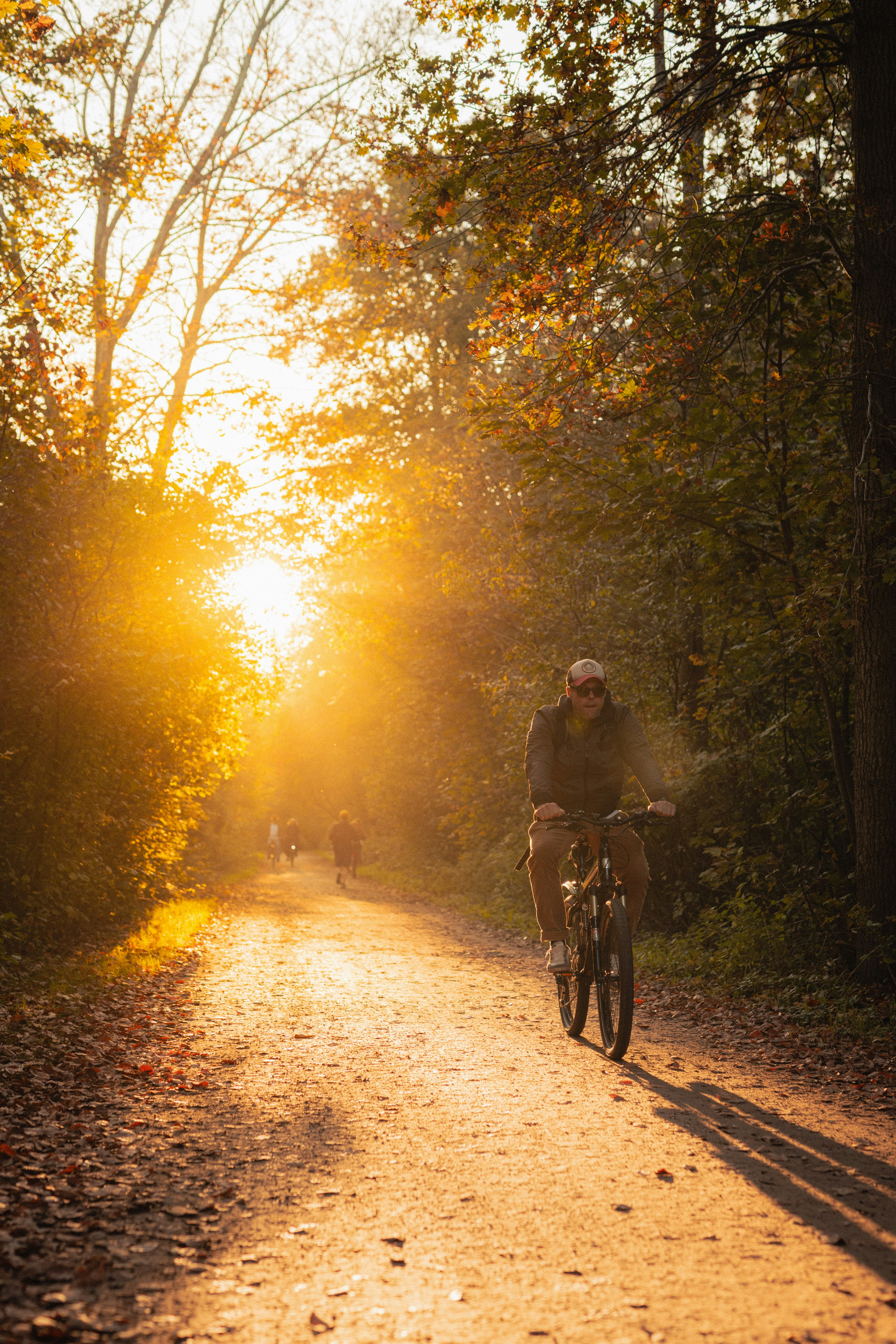 Photo by alirezaparpaei