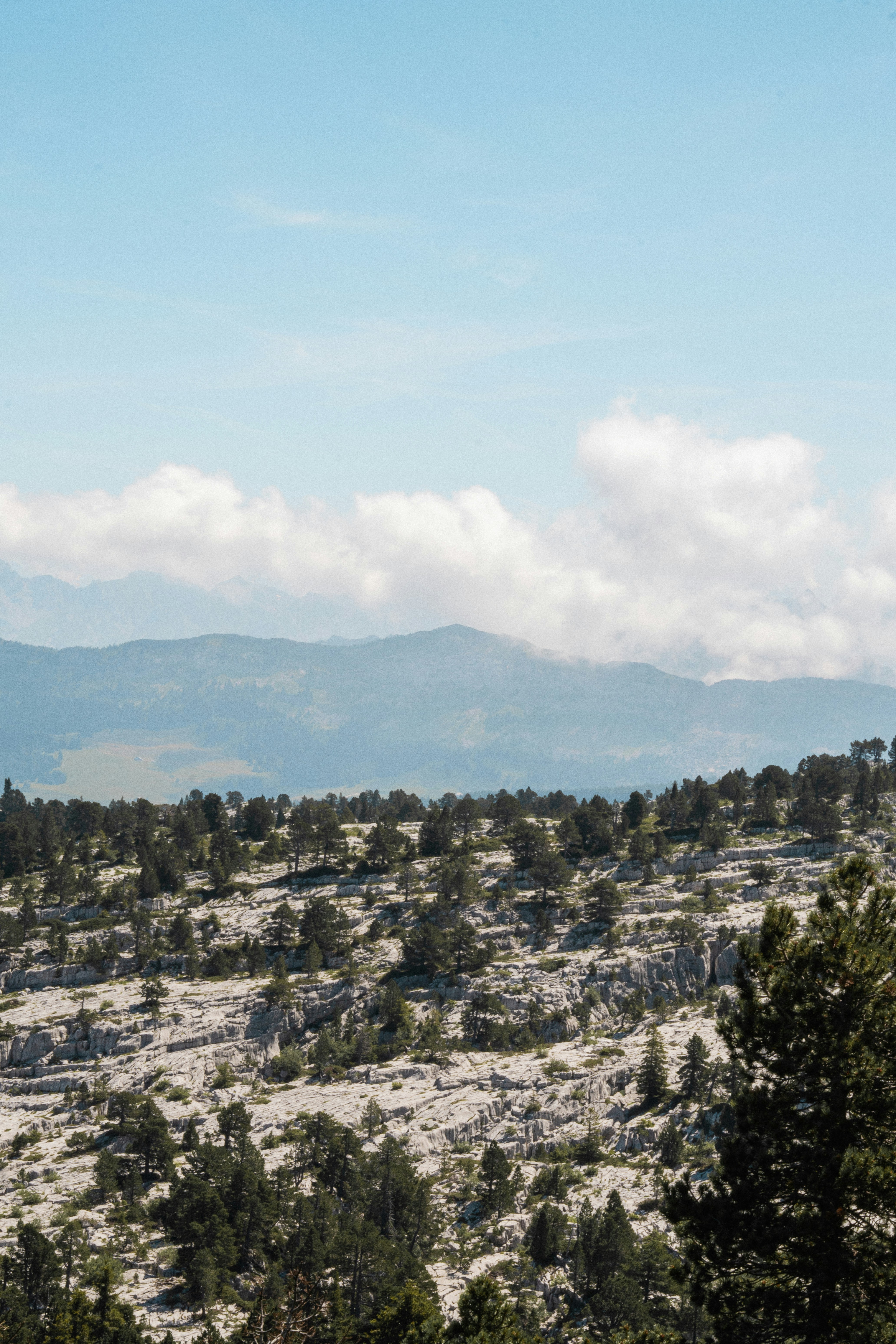 Photo by eliott_goutard