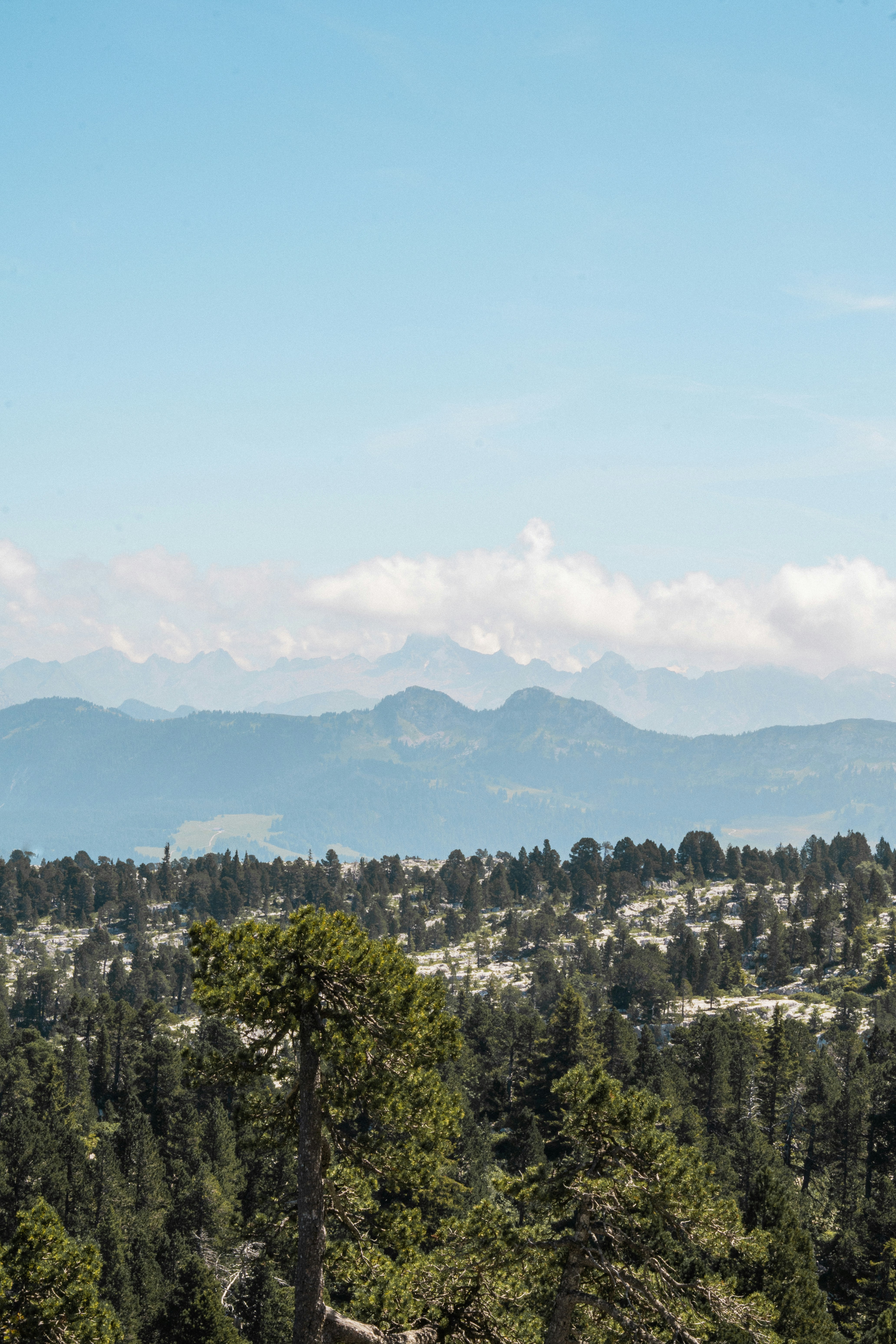 Photo by eliott_goutard