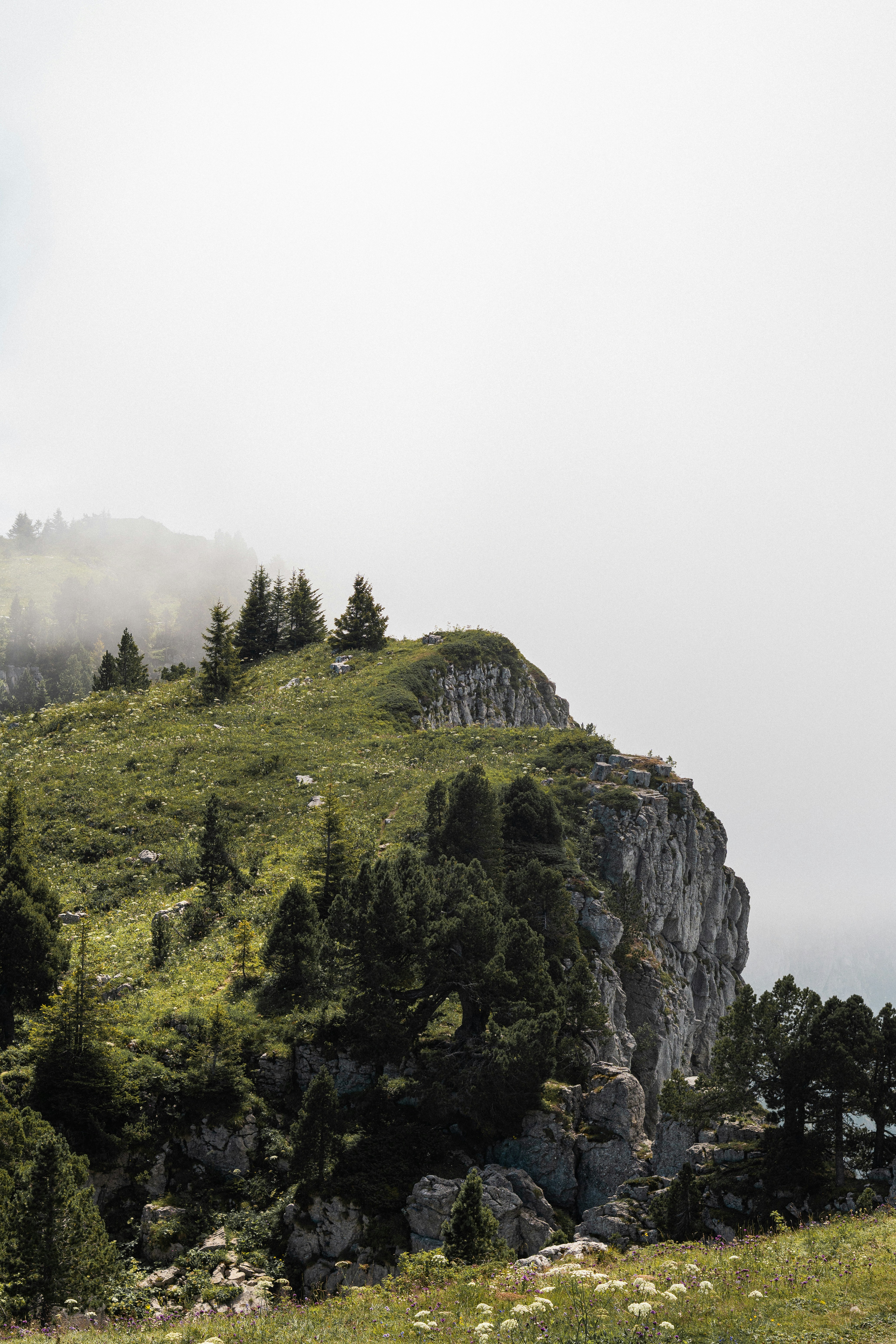 Photo by eliott_goutard