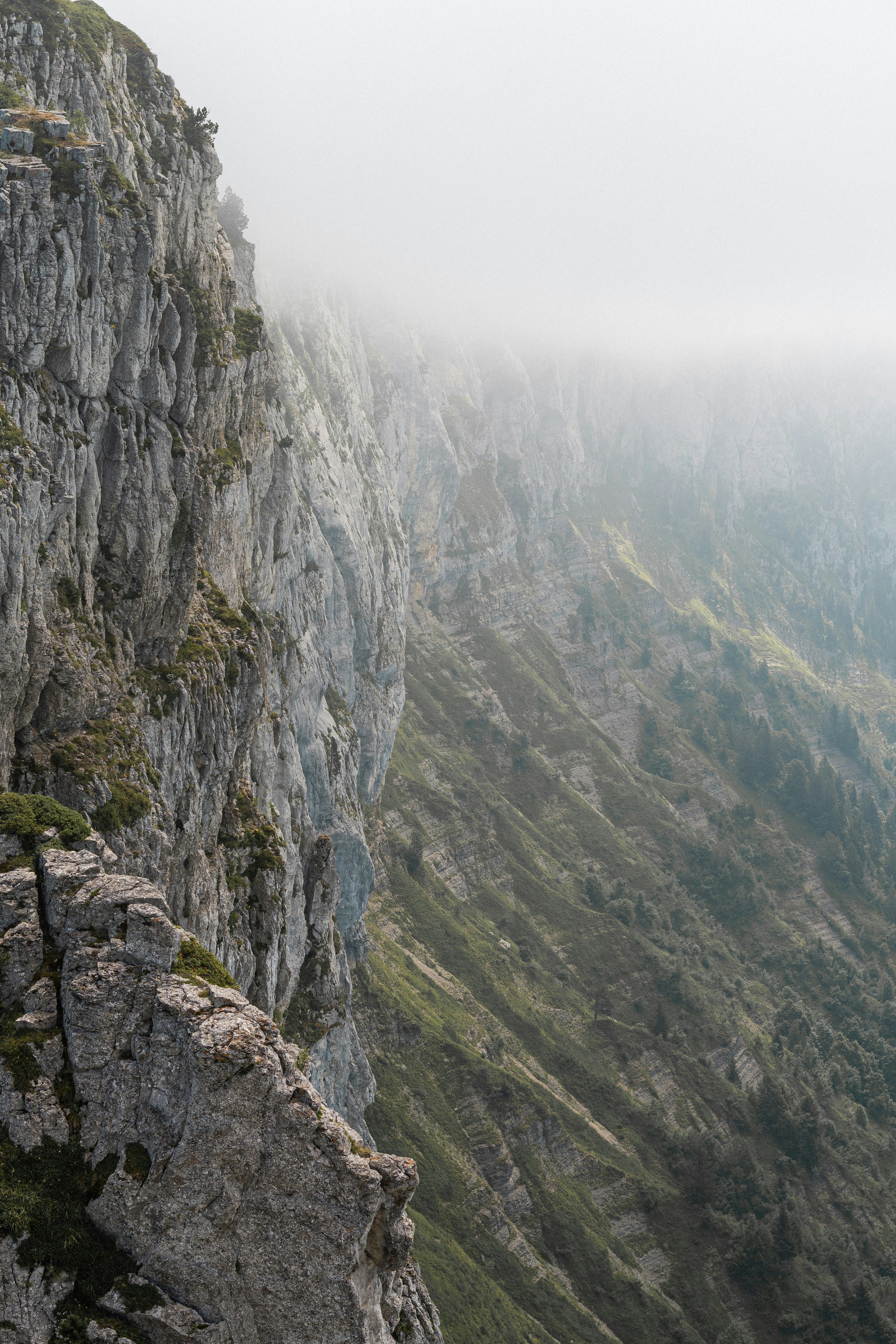 Photo by eliott_goutard