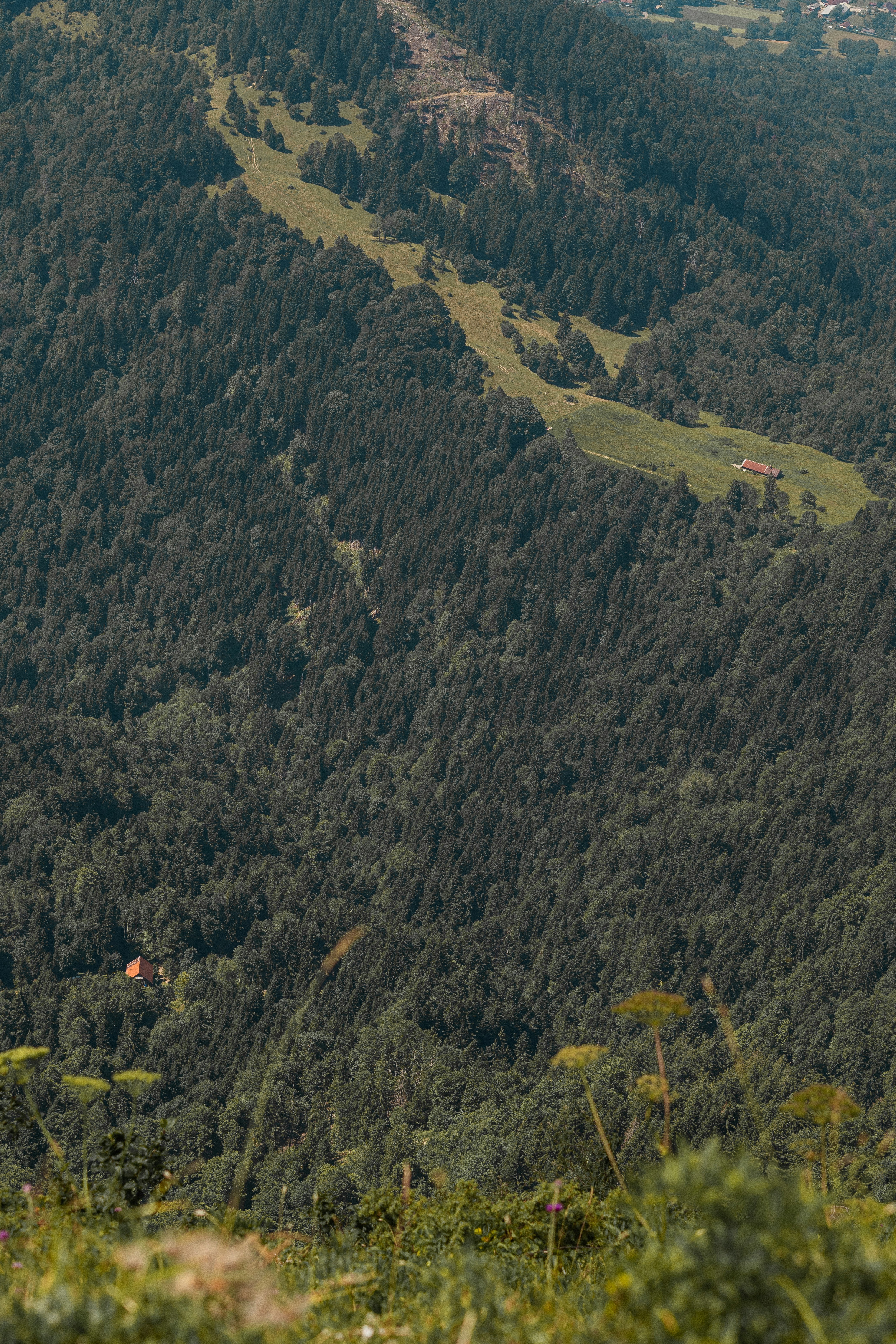 Photo by eliott_goutard