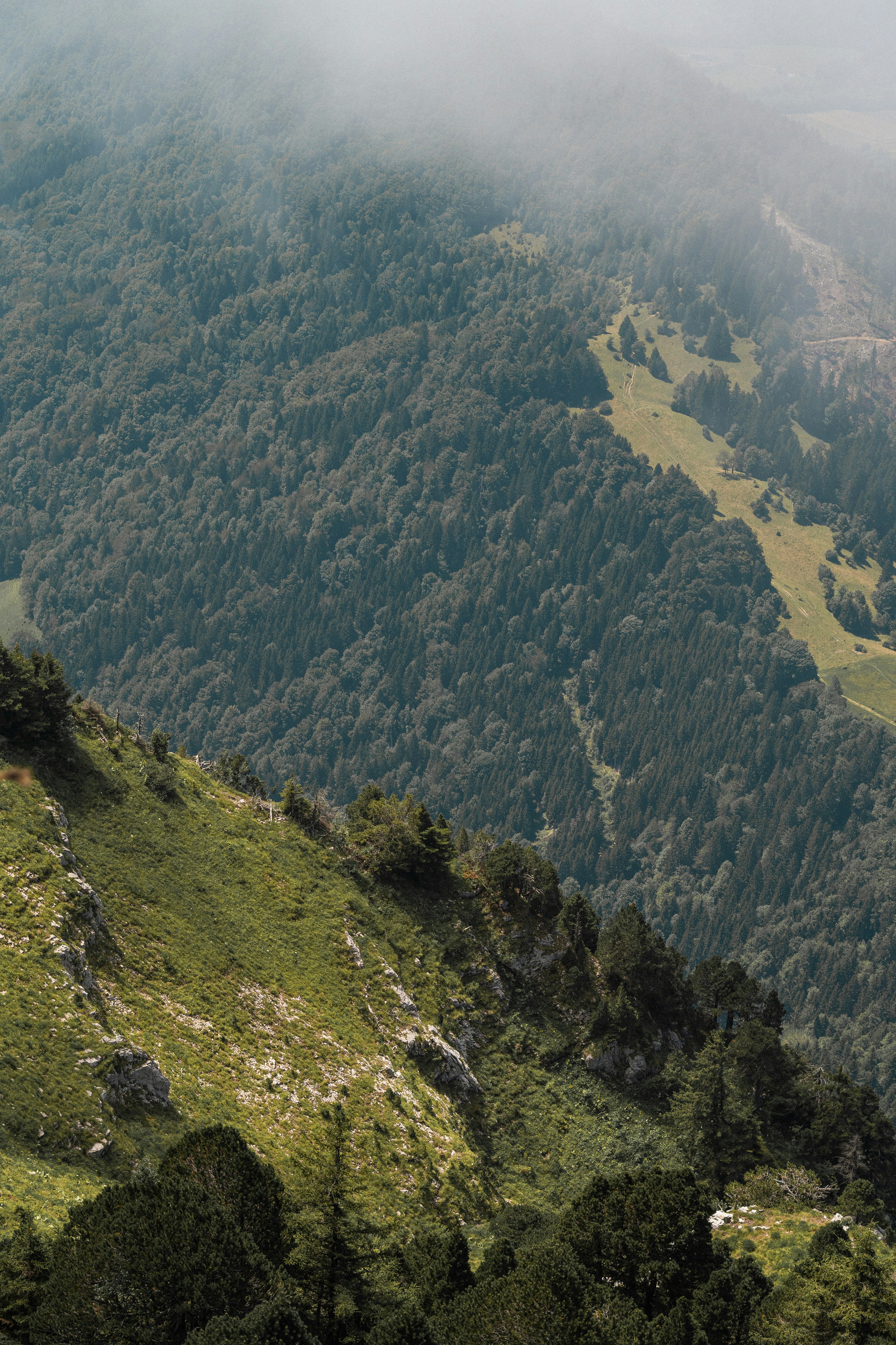 Photo by eliott_goutard