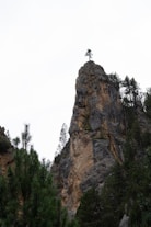 A lone tree on top of a rock formation