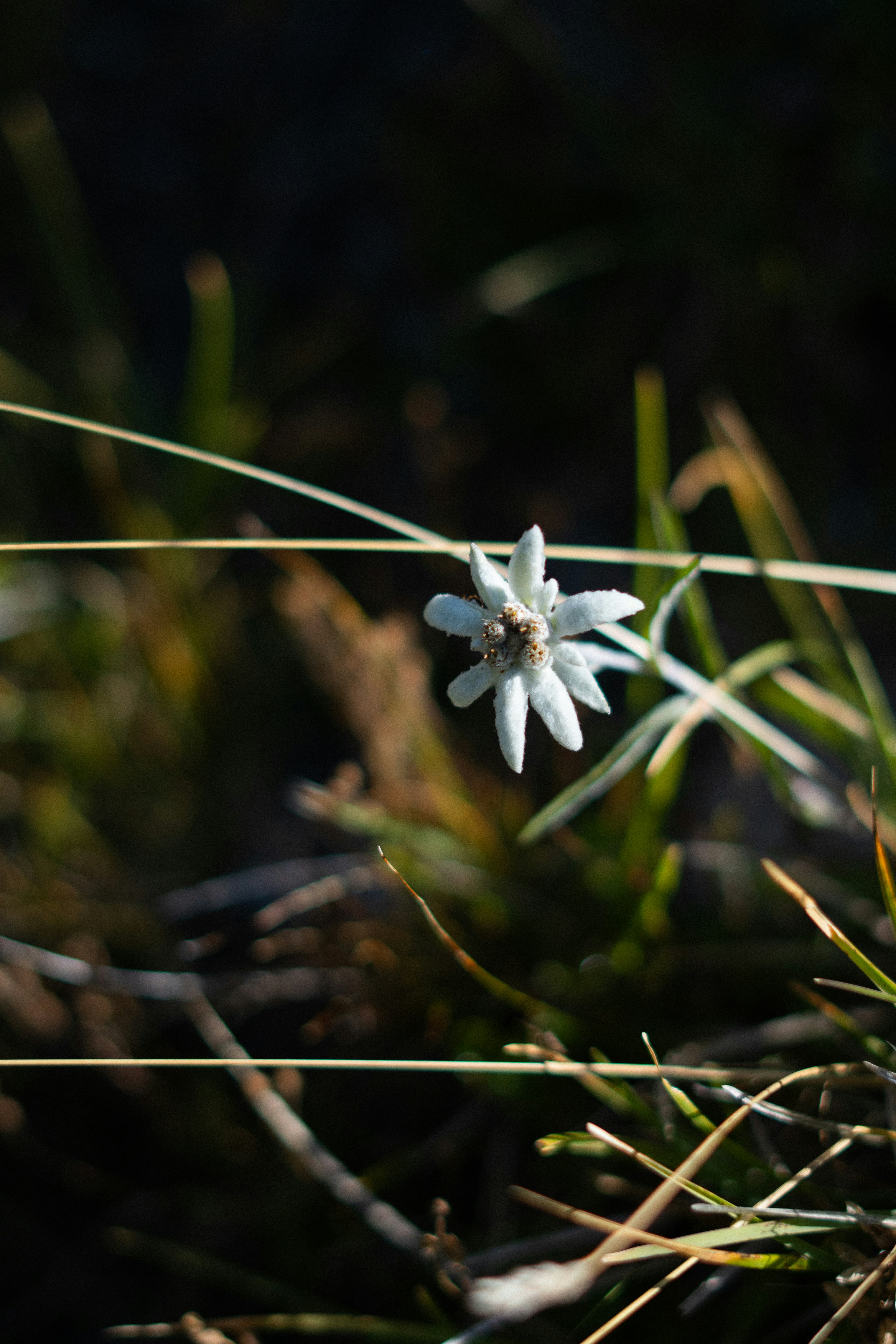 Photo by eliott_goutard