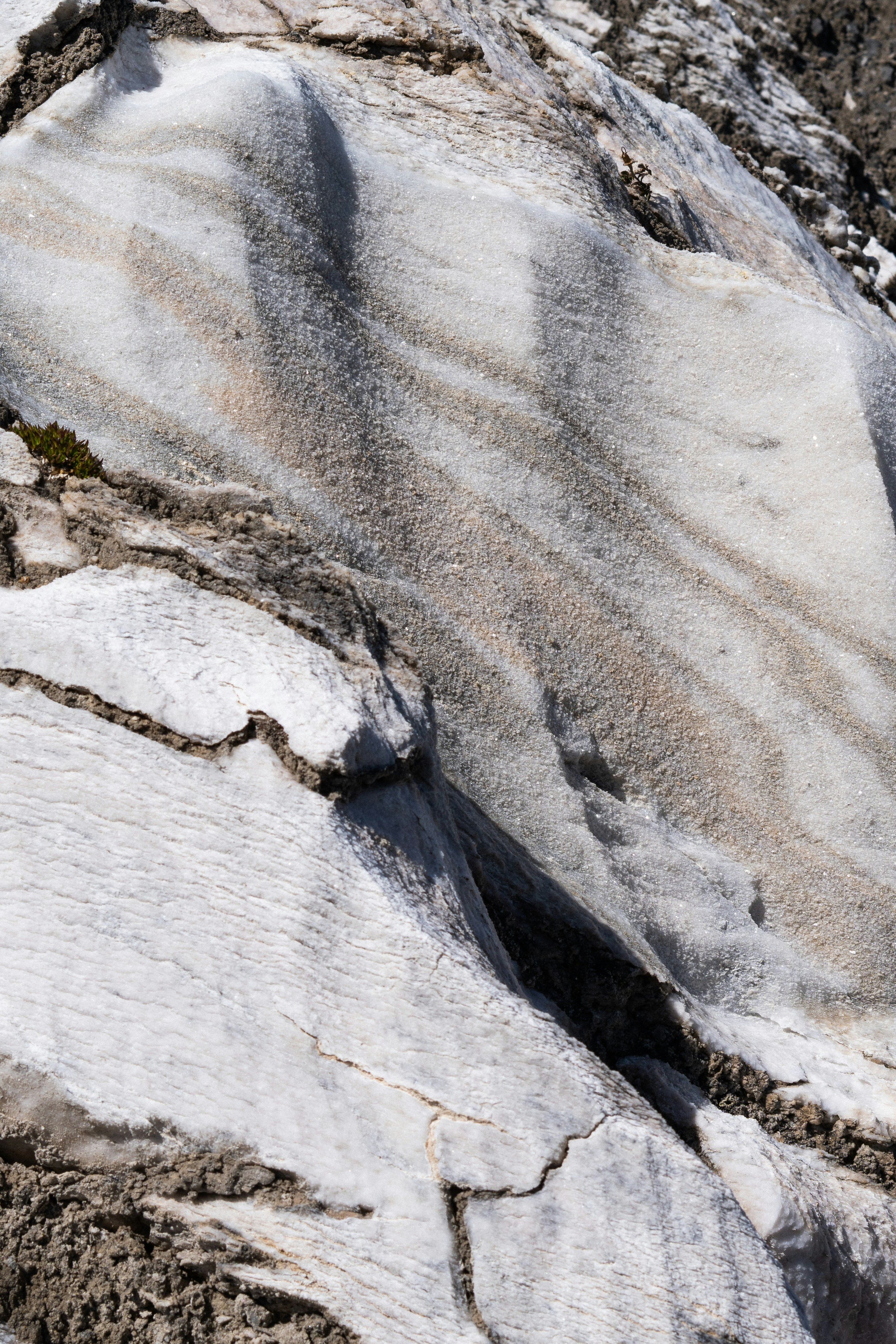 Photo by eliott_goutard