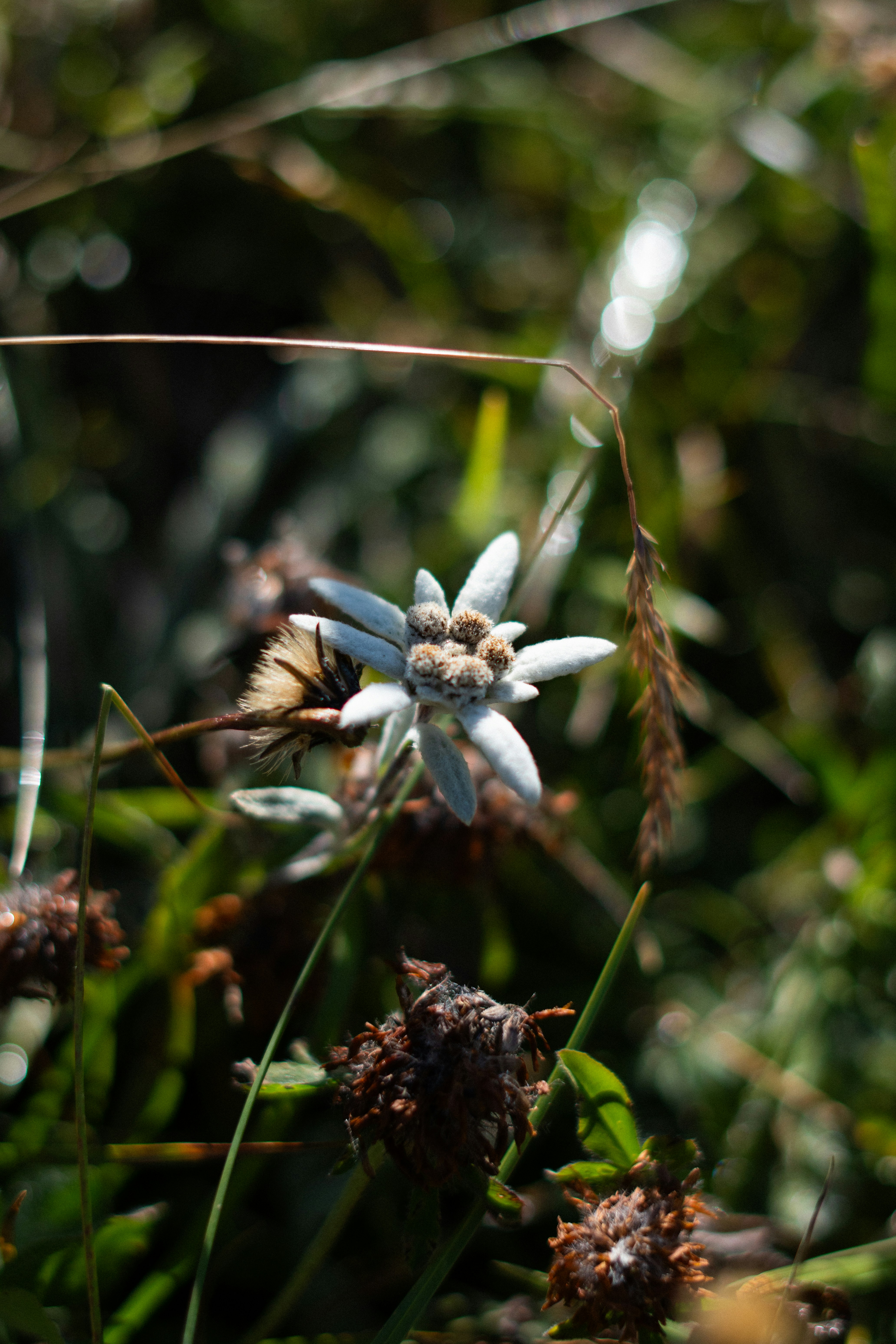 Photo by eliott_goutard