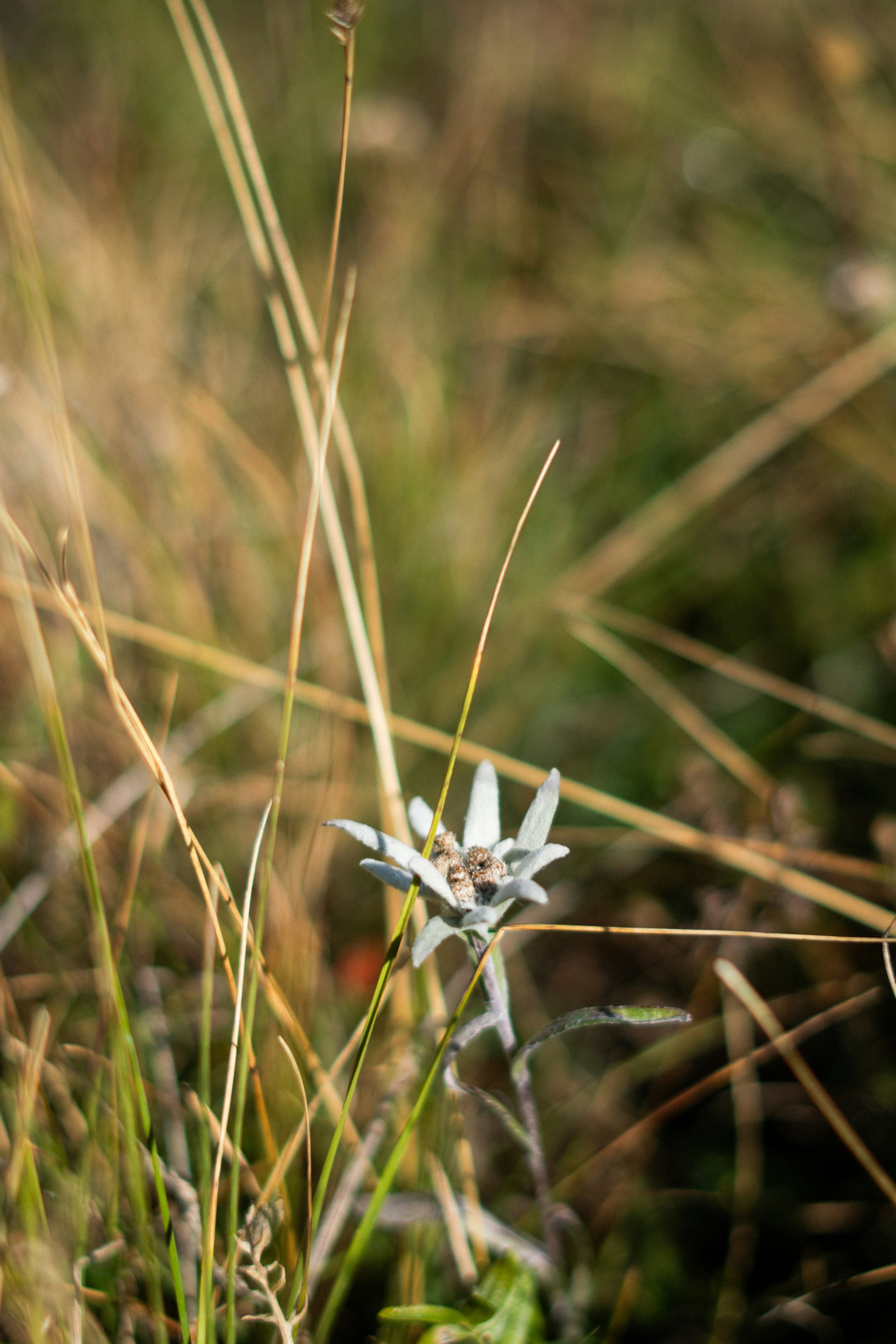 Photo by eliott_goutard