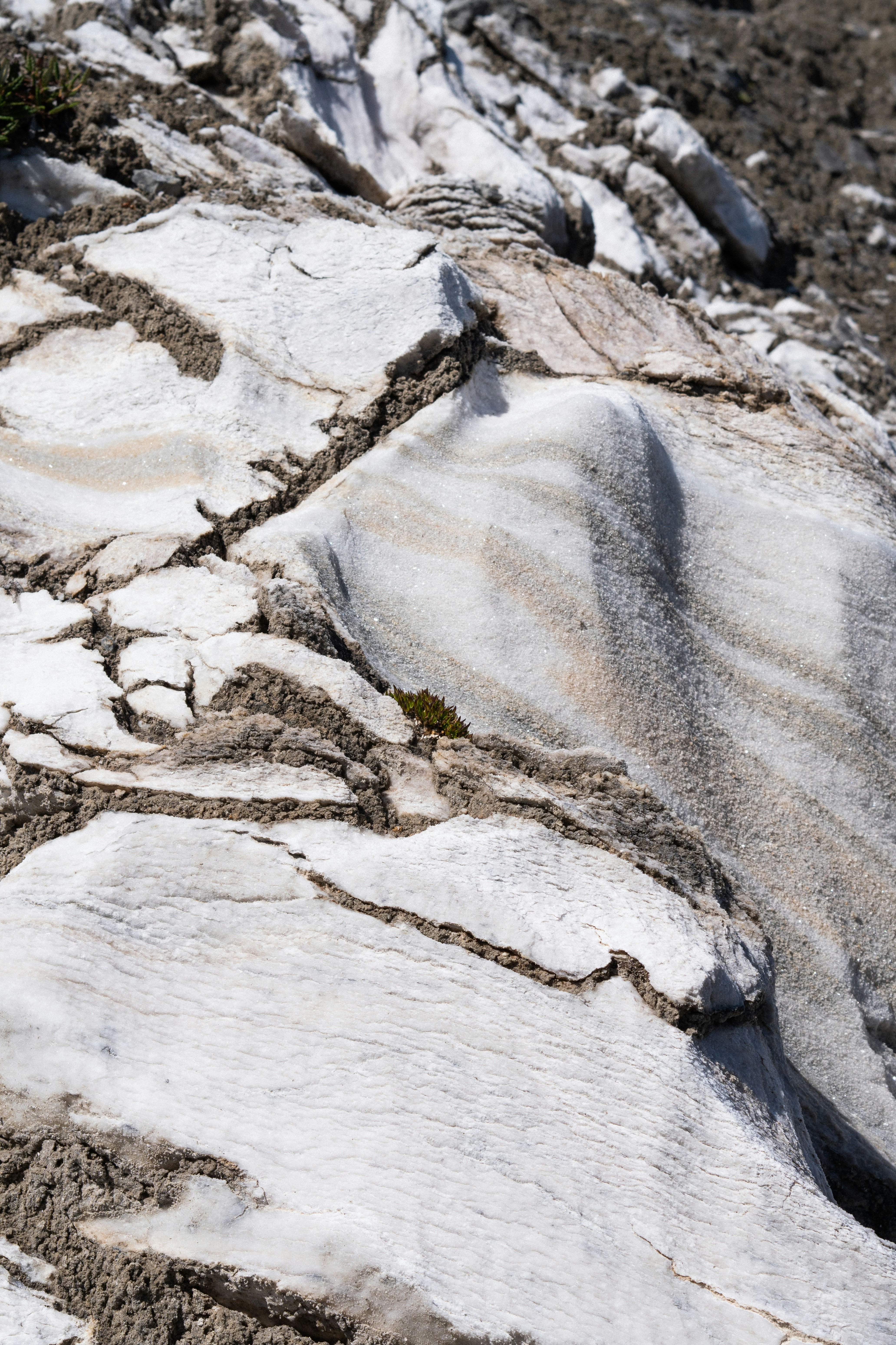 Photo by eliott_goutard