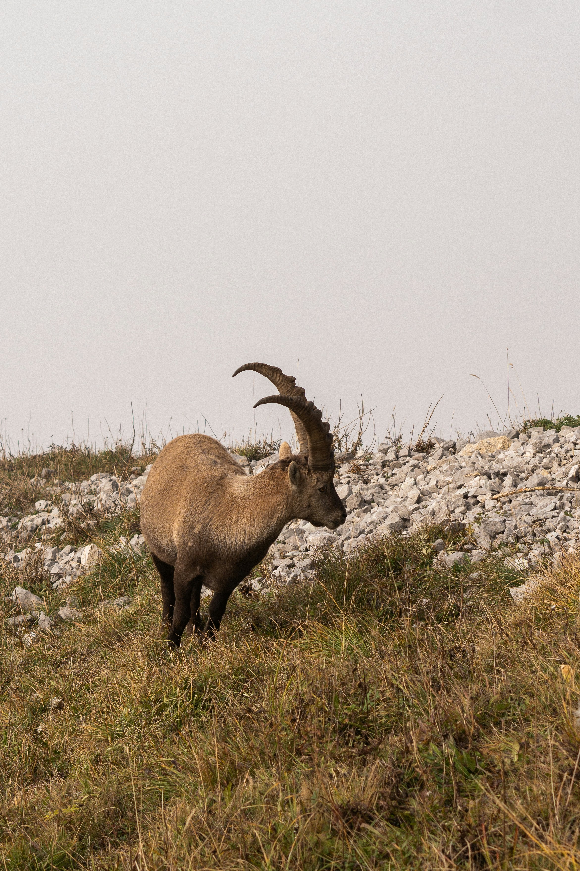 Photo by eliott_goutard