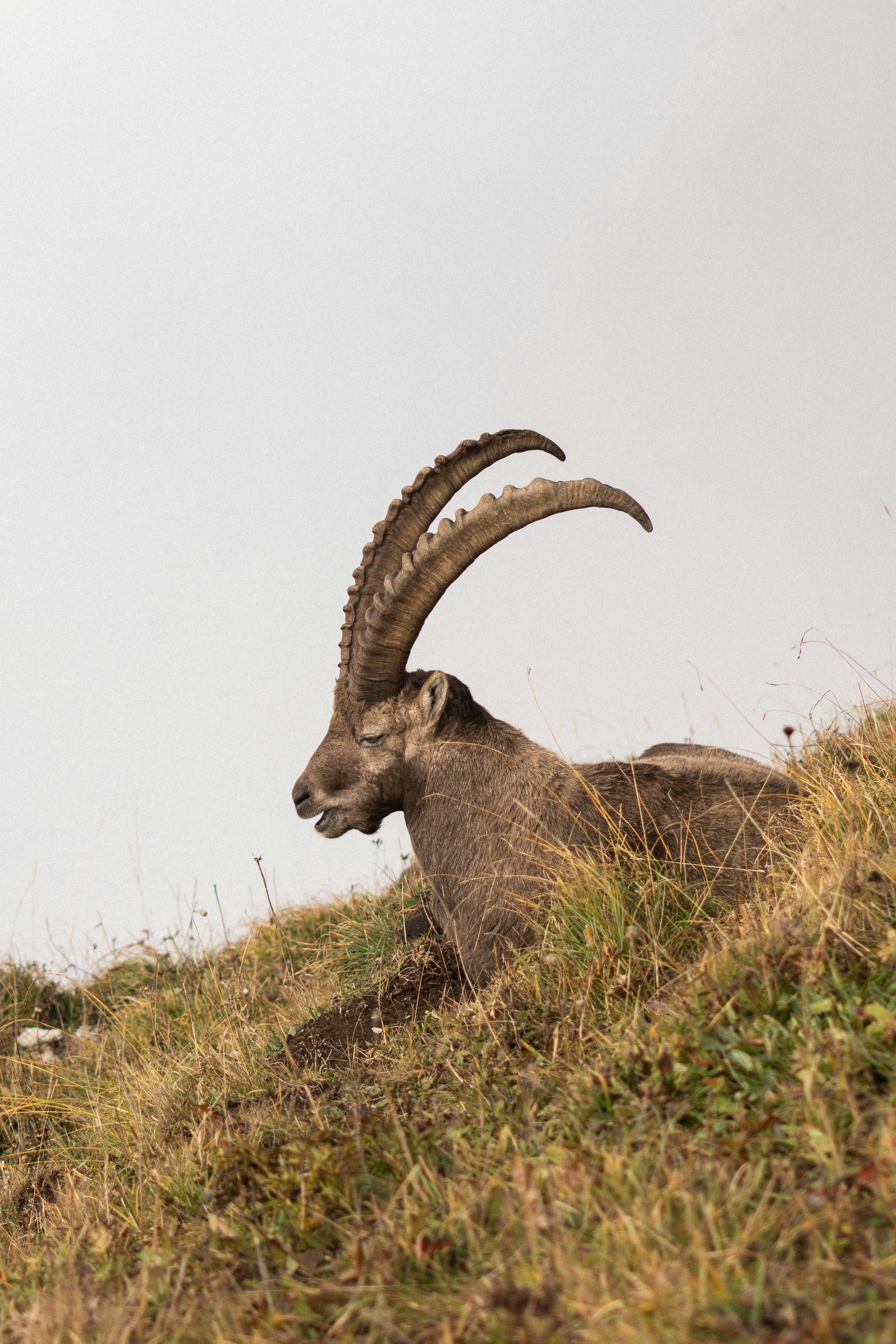 Photo by eliott_goutard