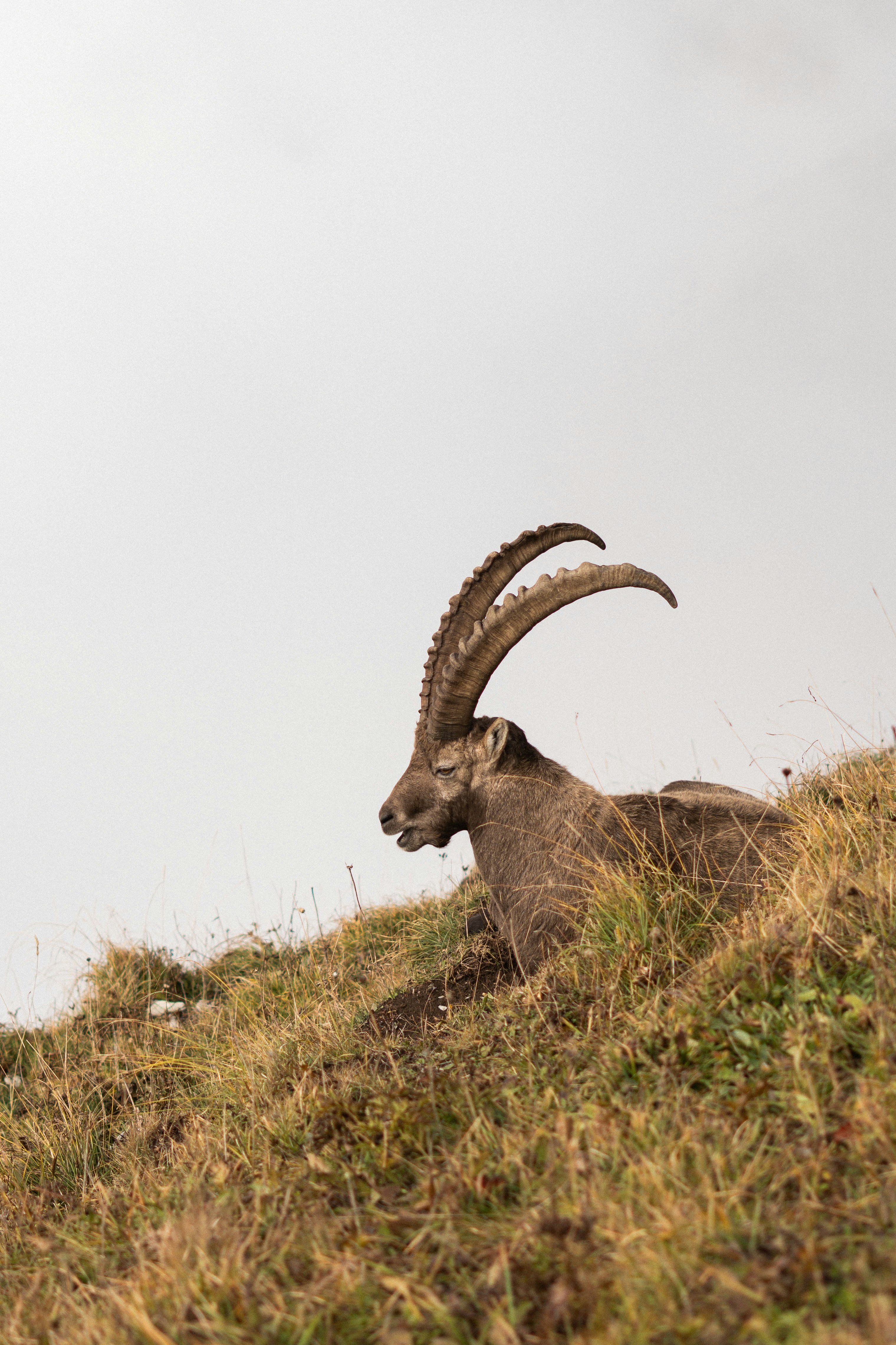 Photo by eliott_goutard