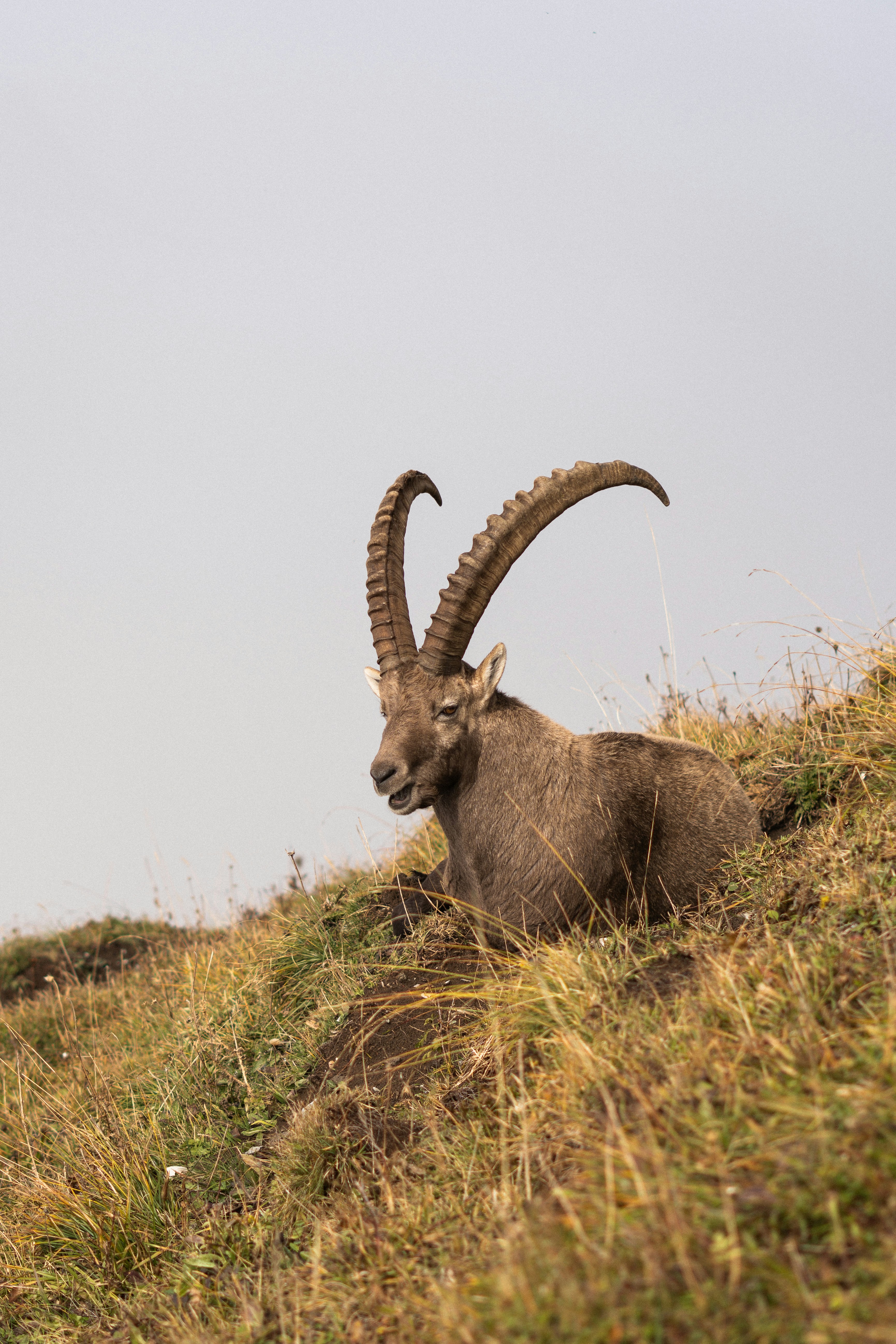 Photo by eliott_goutard