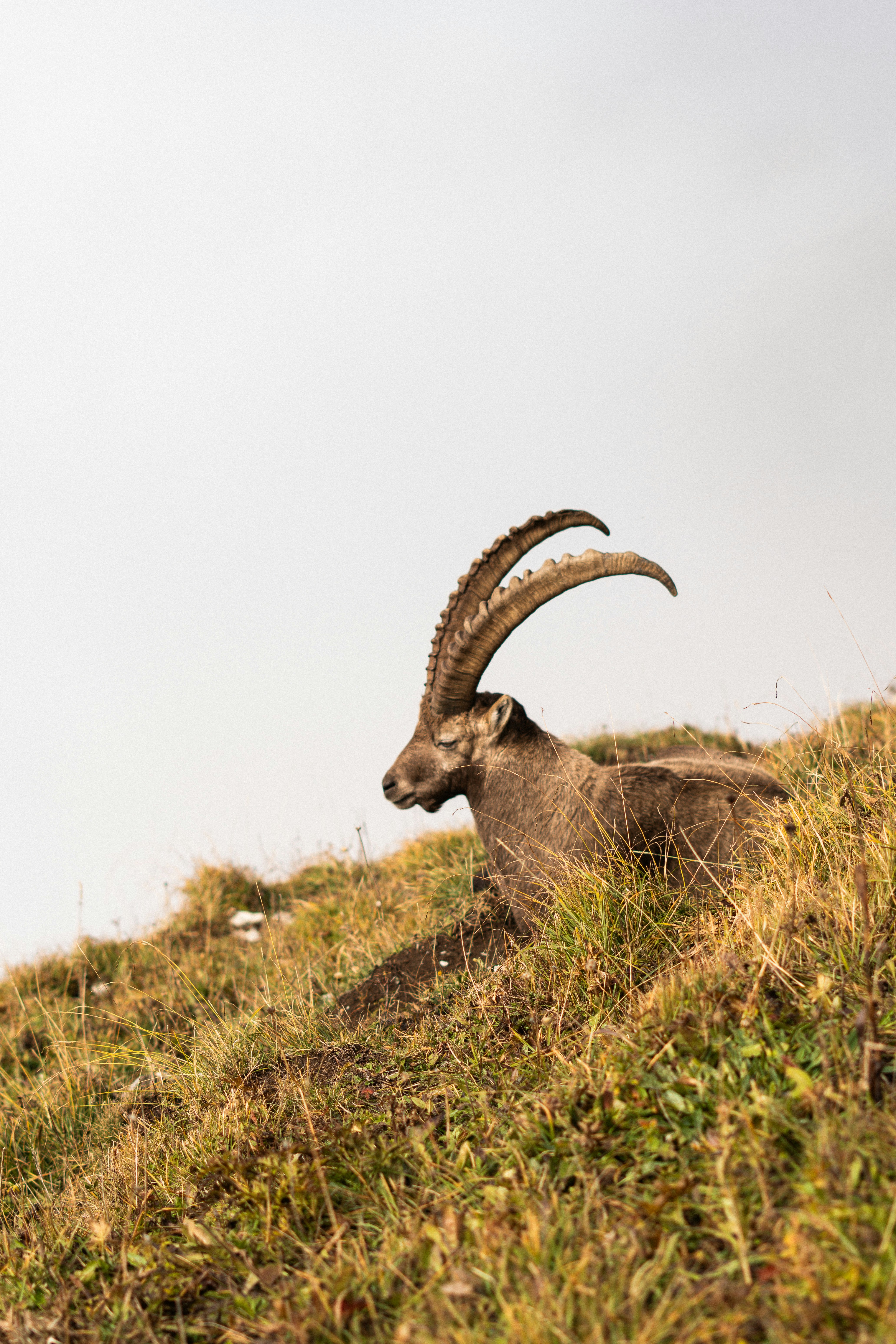 Photo by eliott_goutard