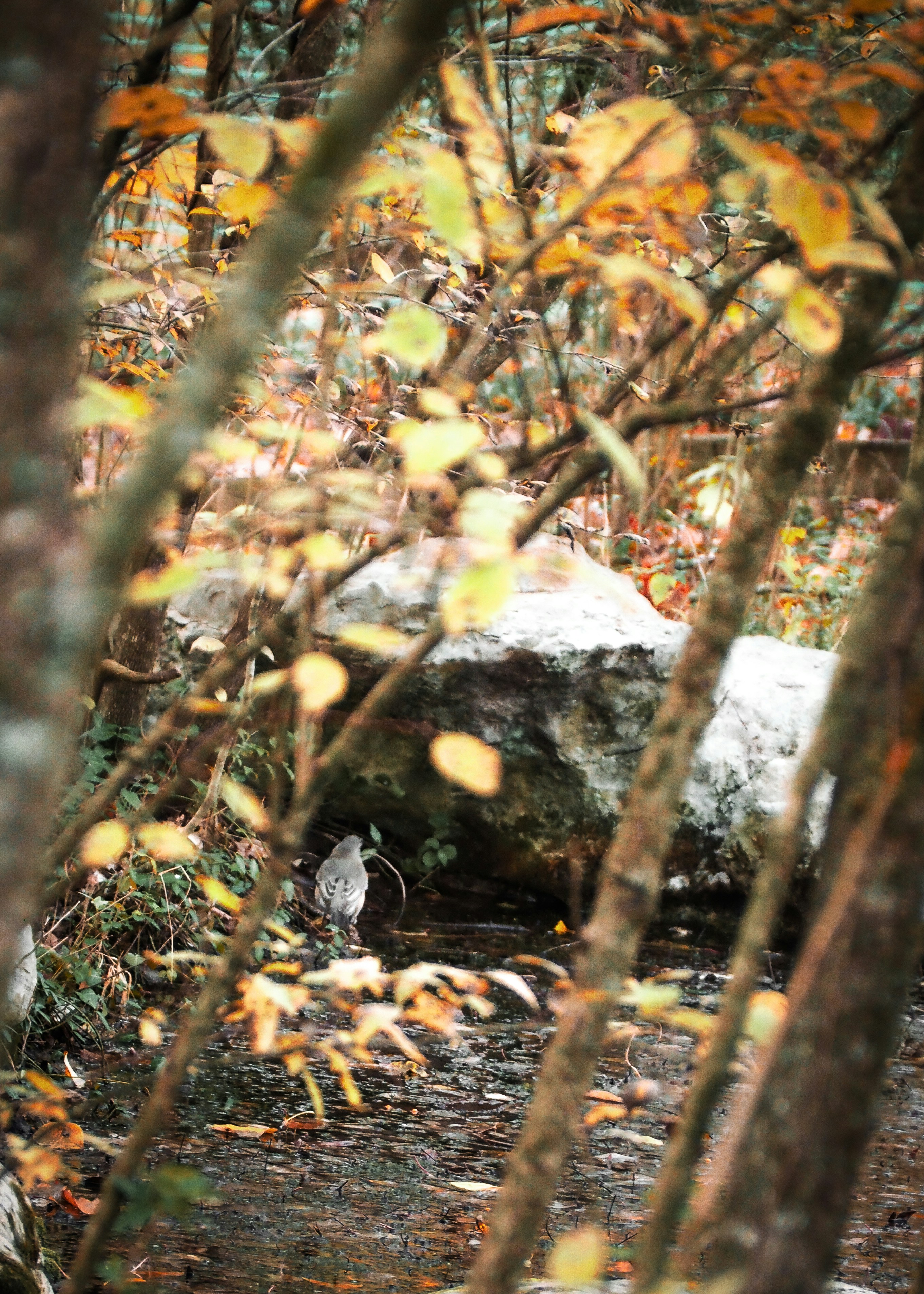 Photo by fieldworkframes