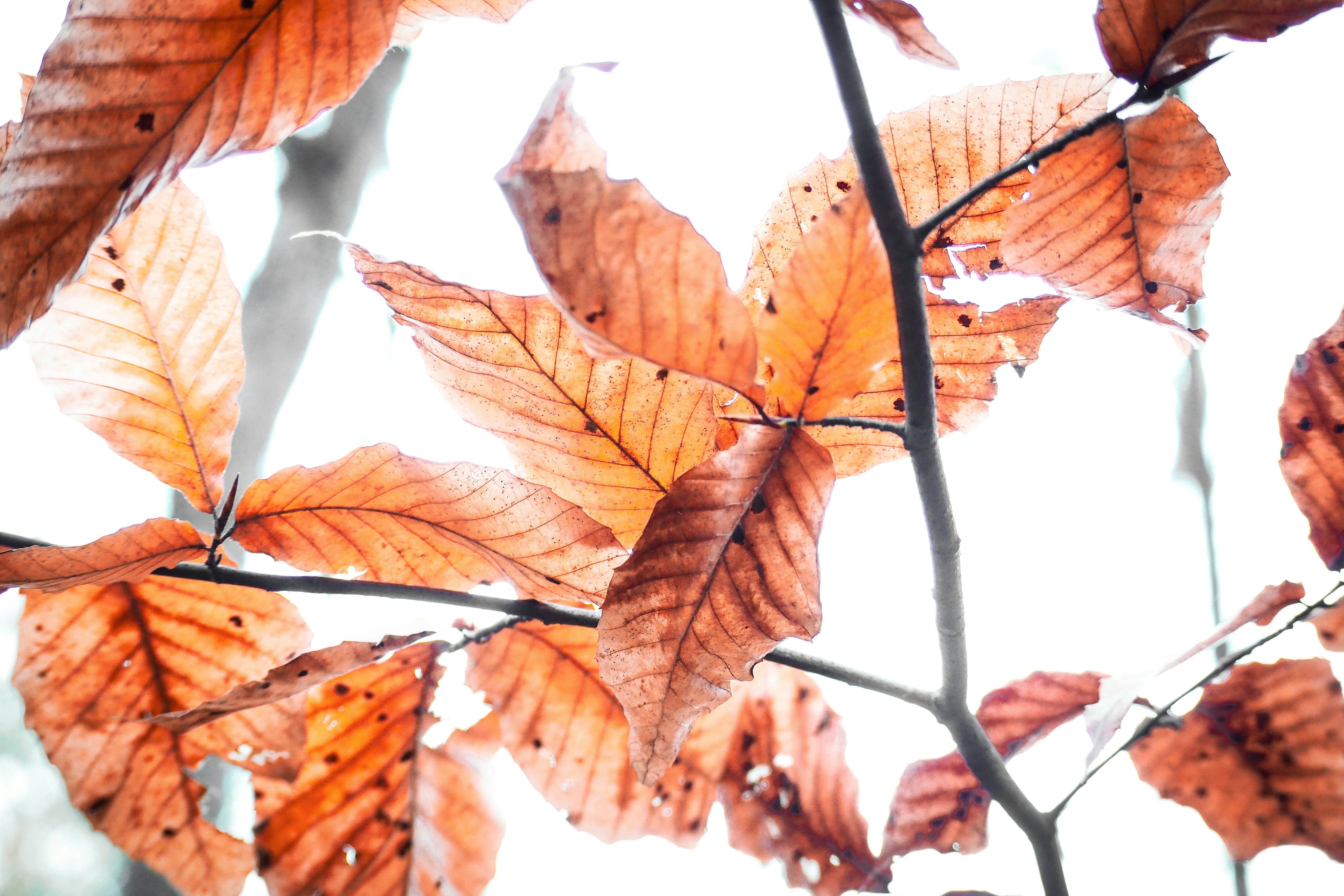 Photo by fieldworkframes