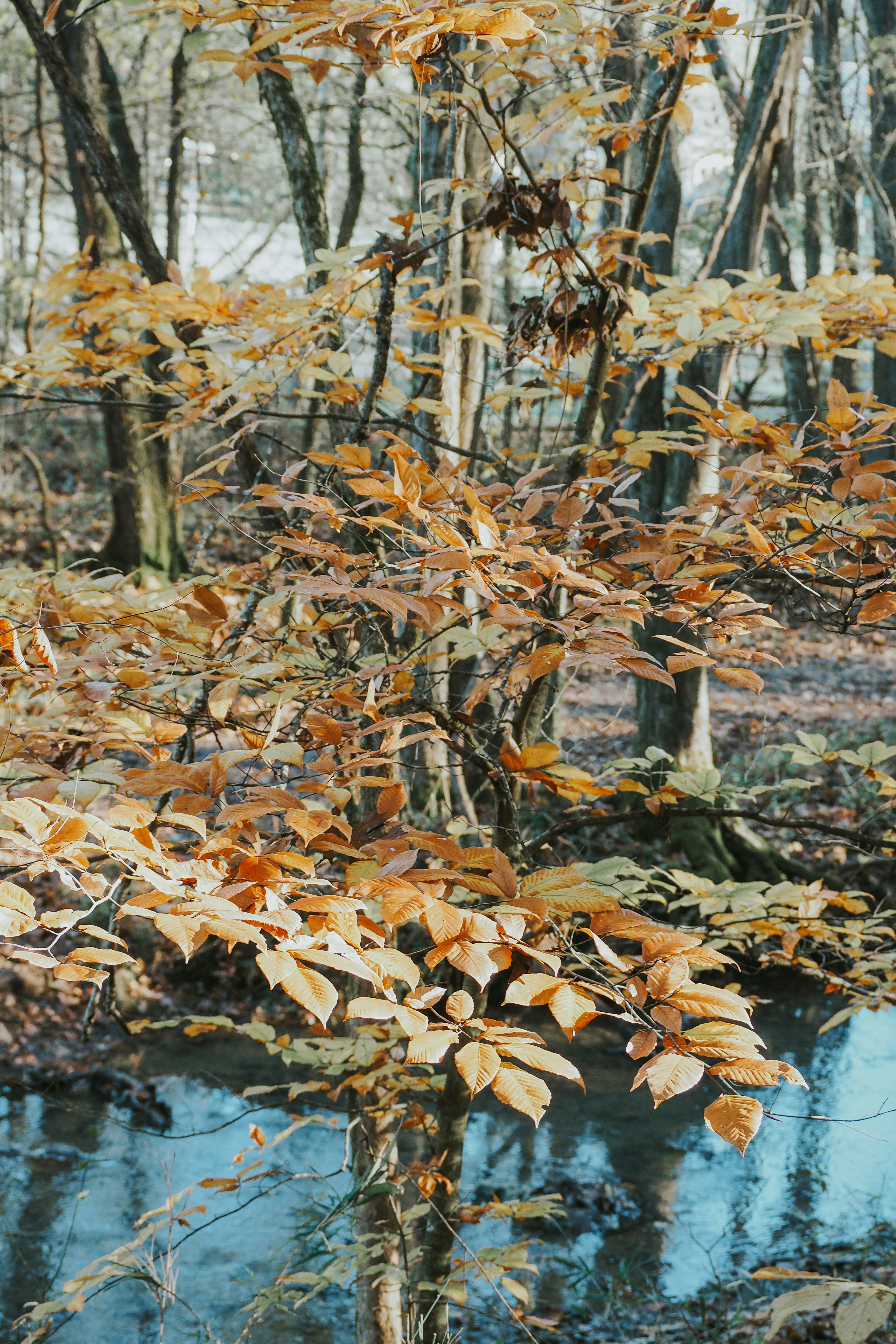 Photo by fieldworkframes