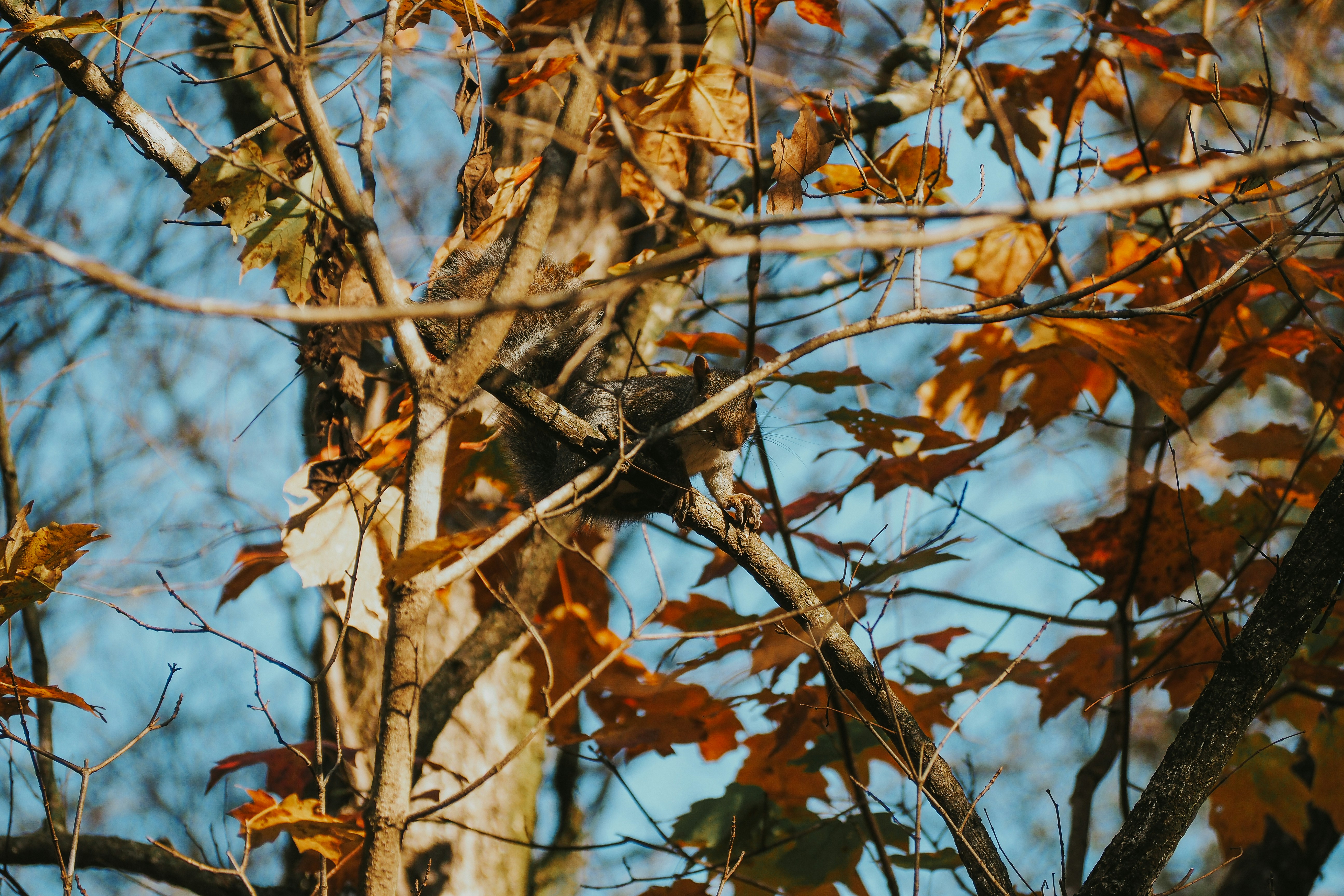 Photo by fieldworkframes