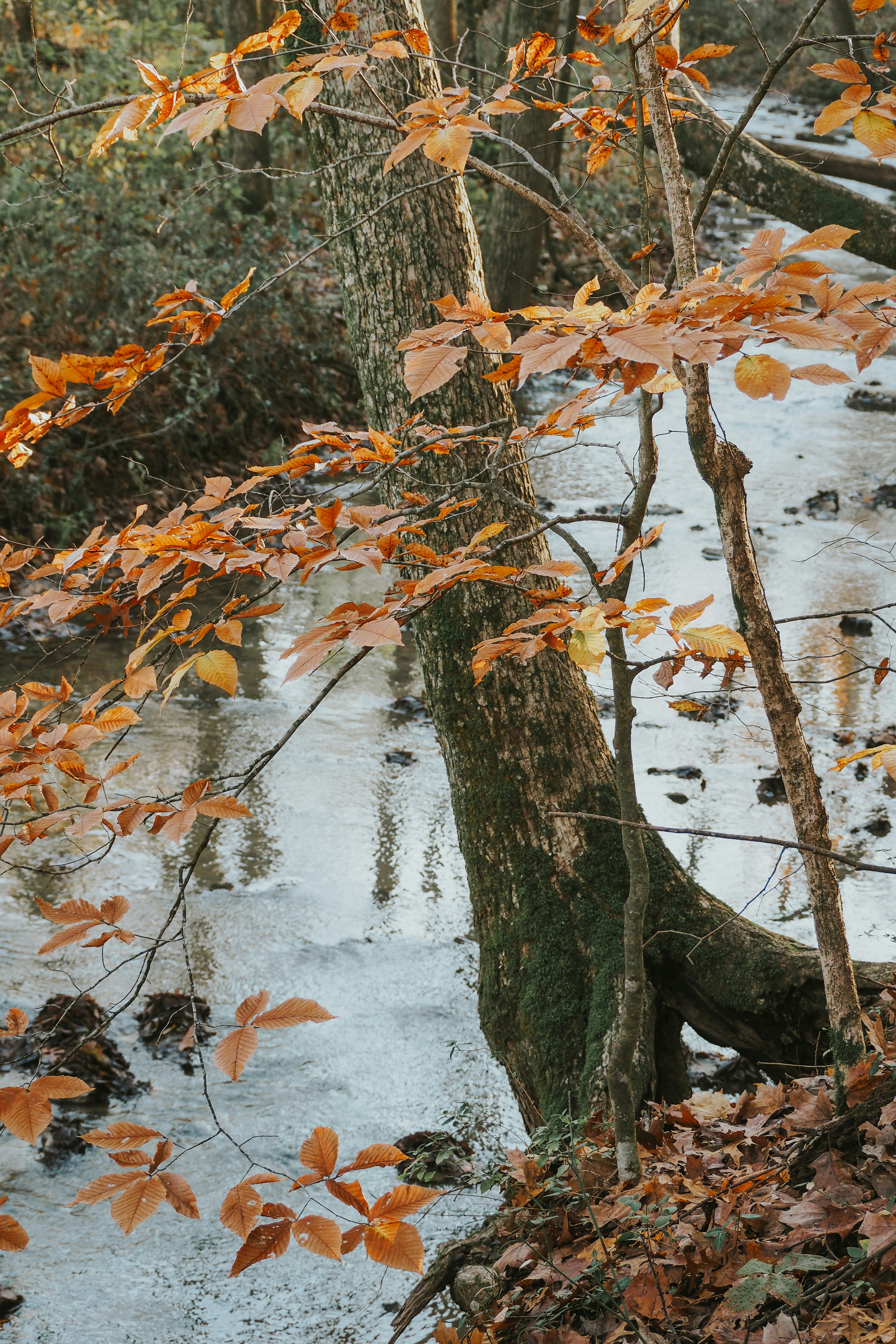 Photo by fieldworkframes