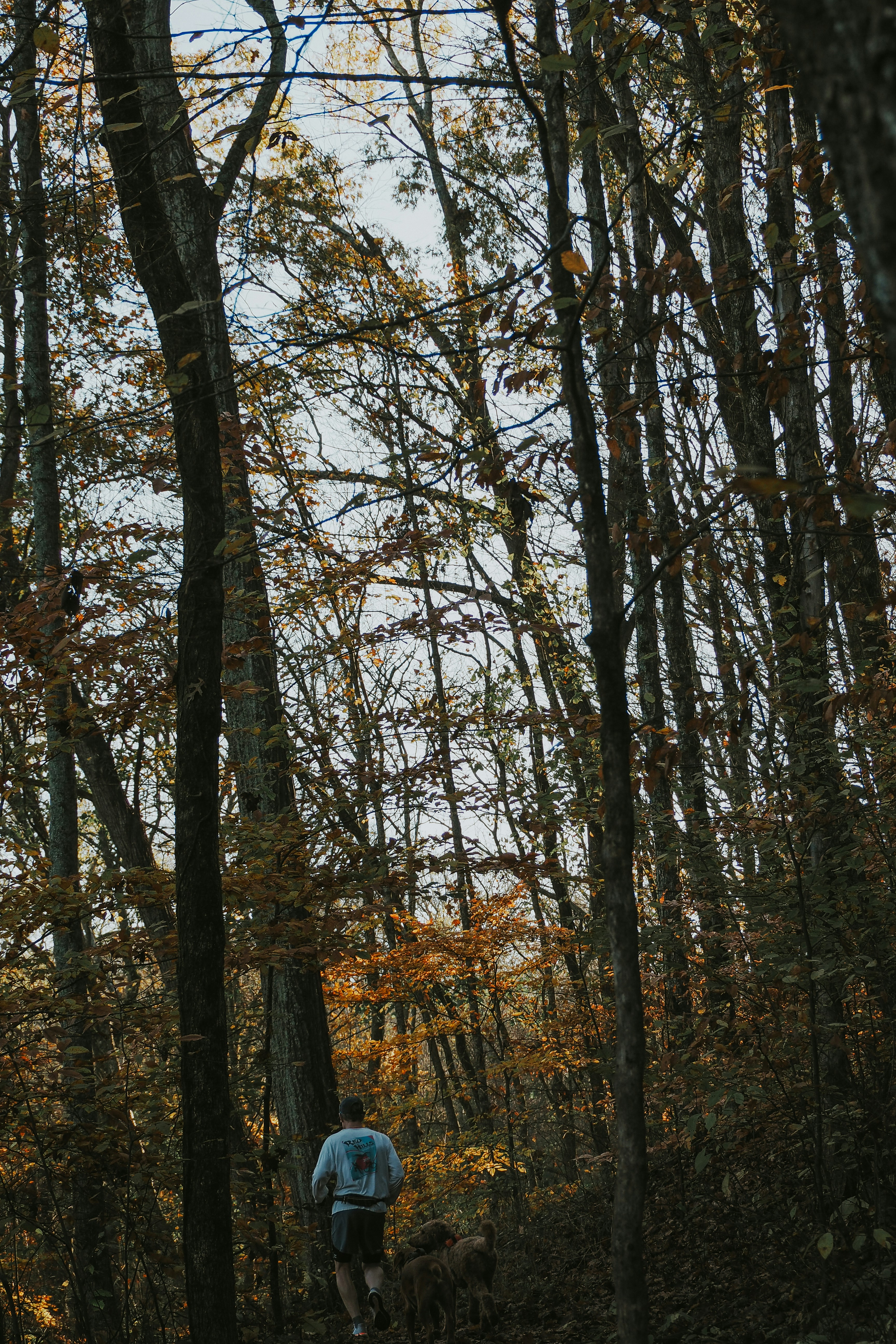 Photo by fieldworkframes