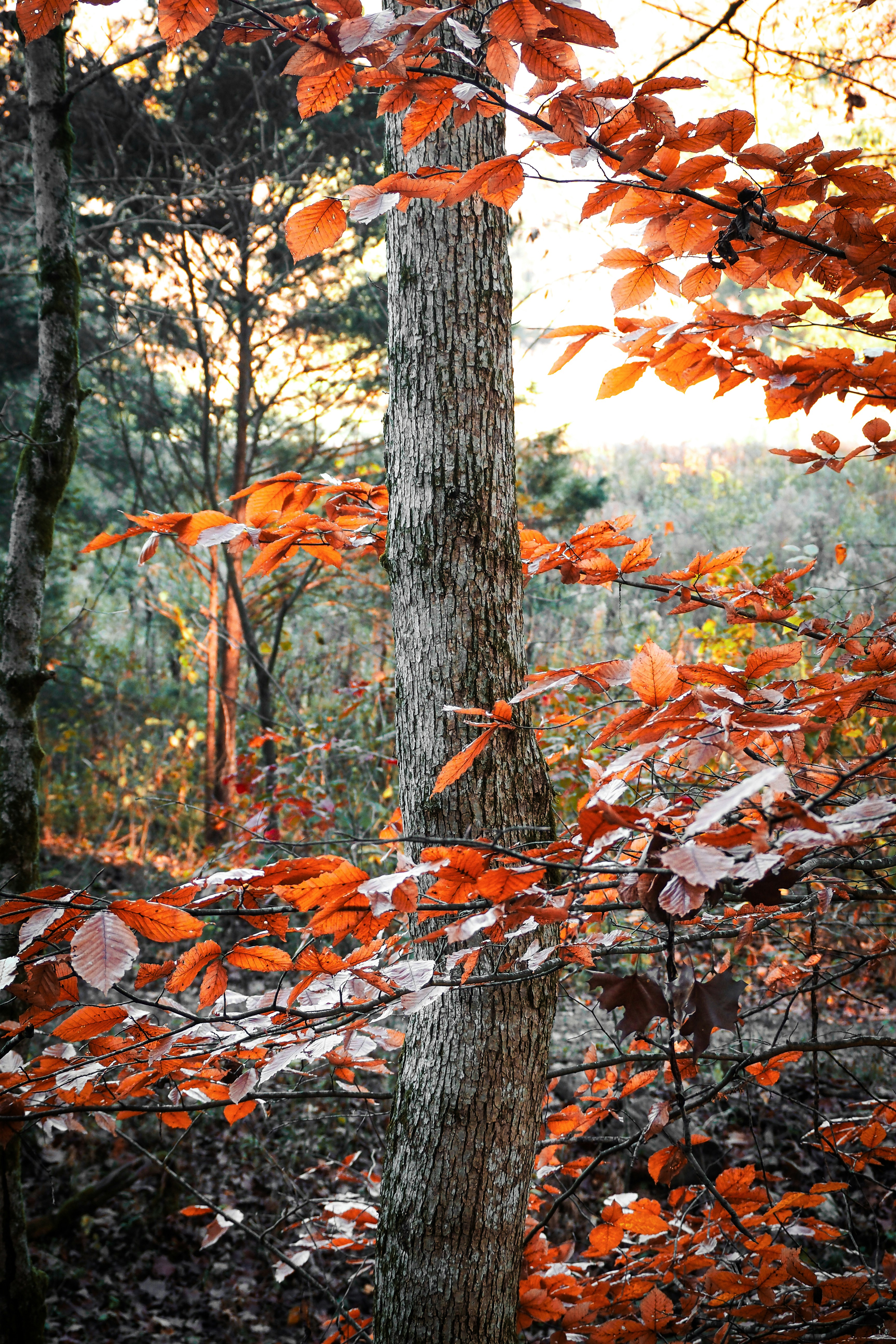 Photo by fieldworkframes