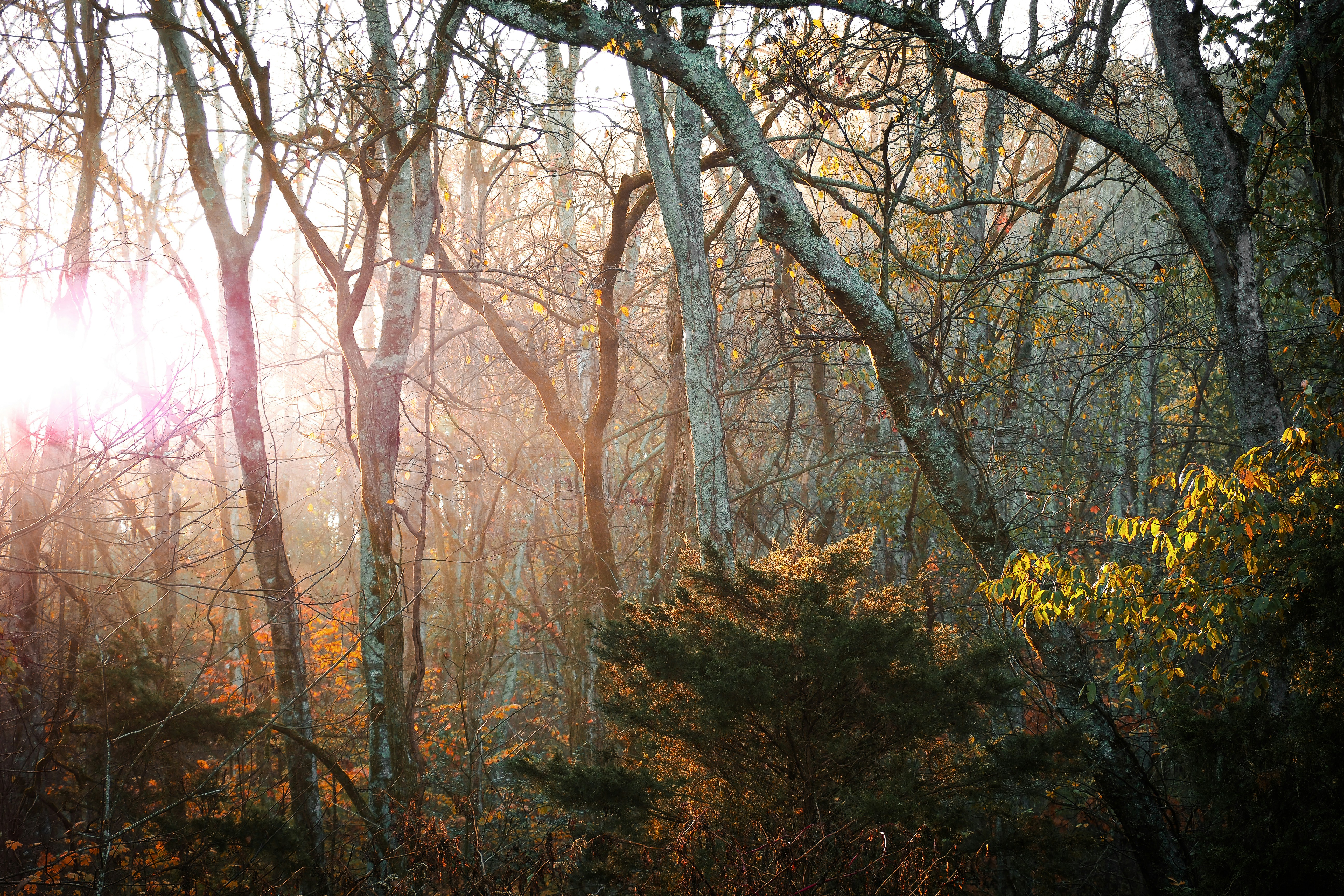 Photo by fieldworkframes