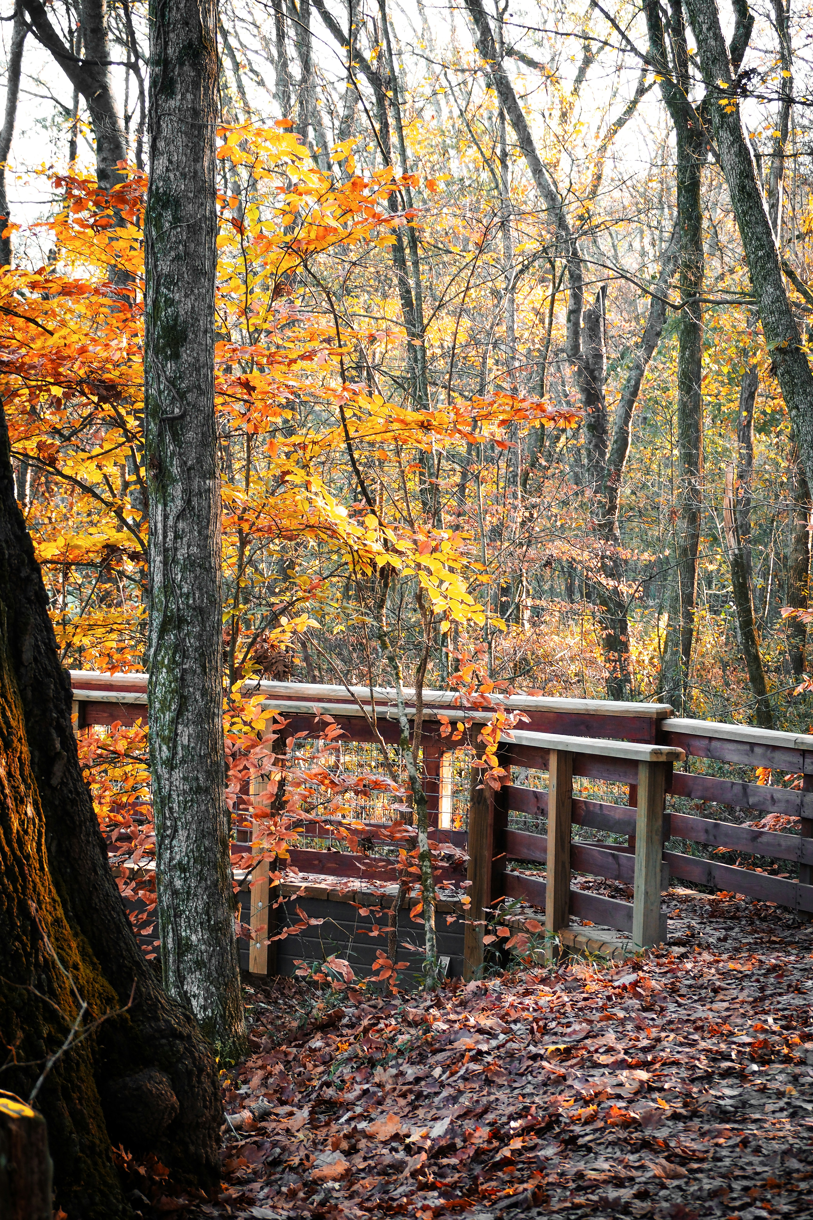 Photo by fieldworkframes