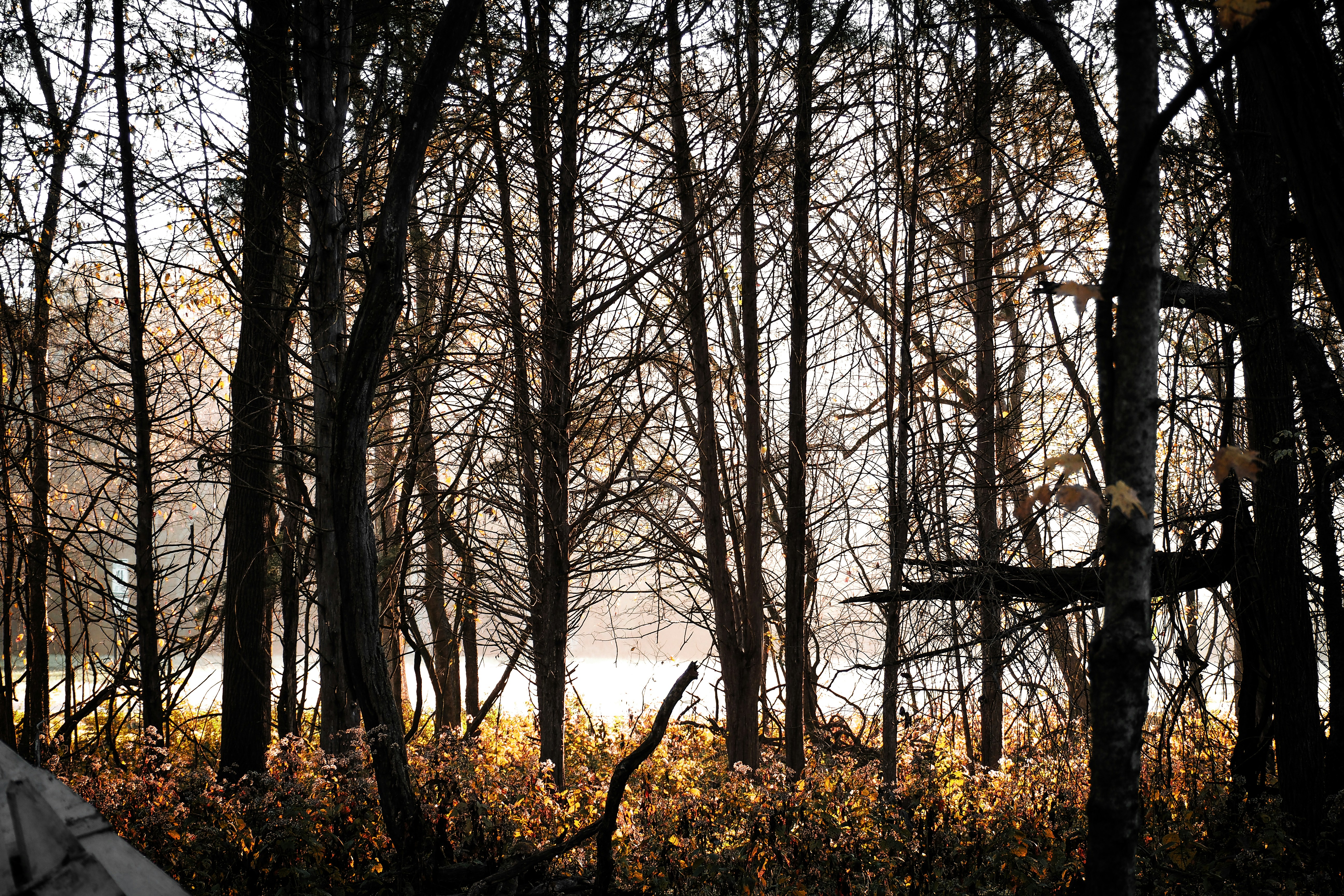 Photo by fieldworkframes