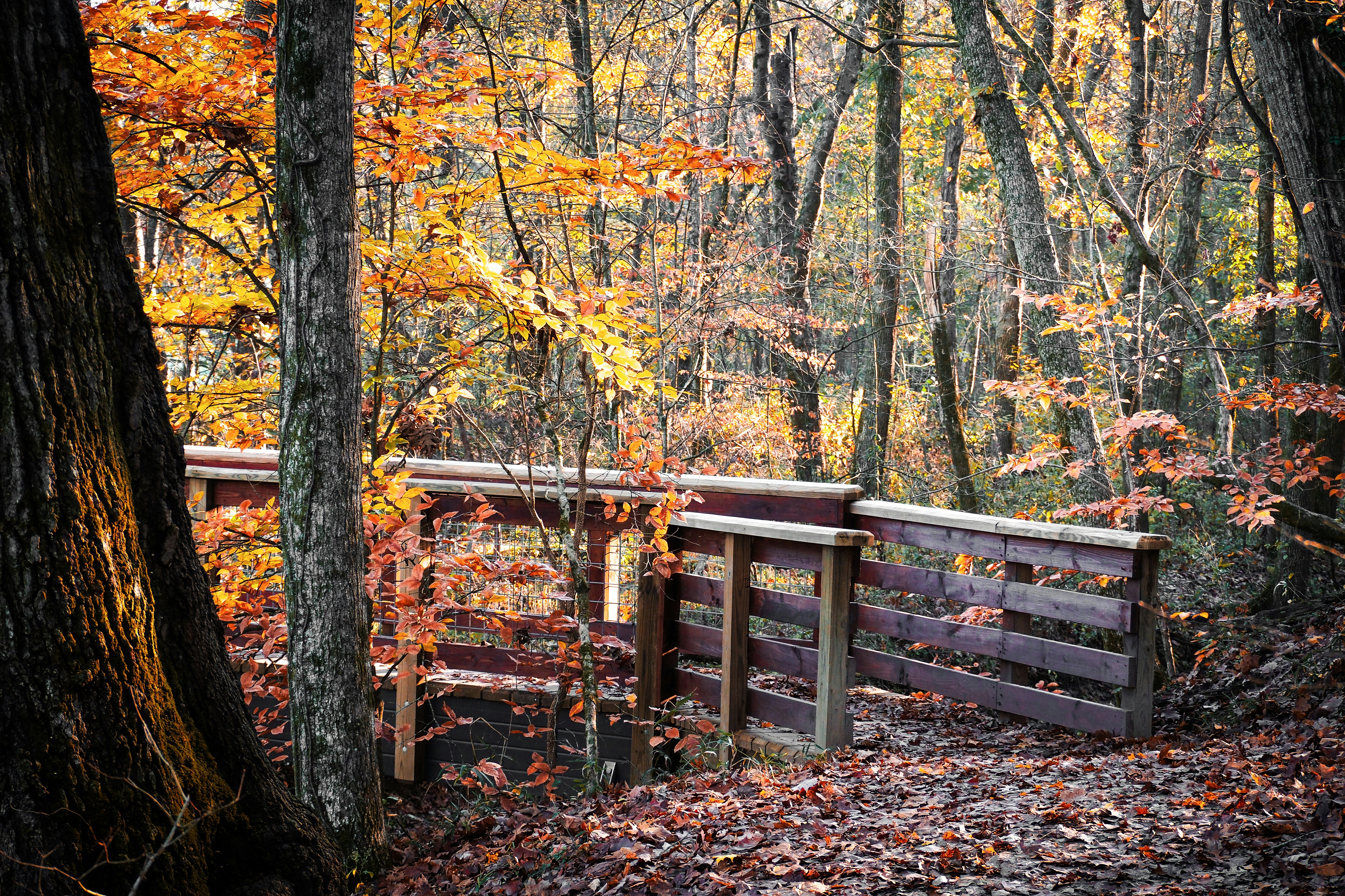 Photo by fieldworkframes