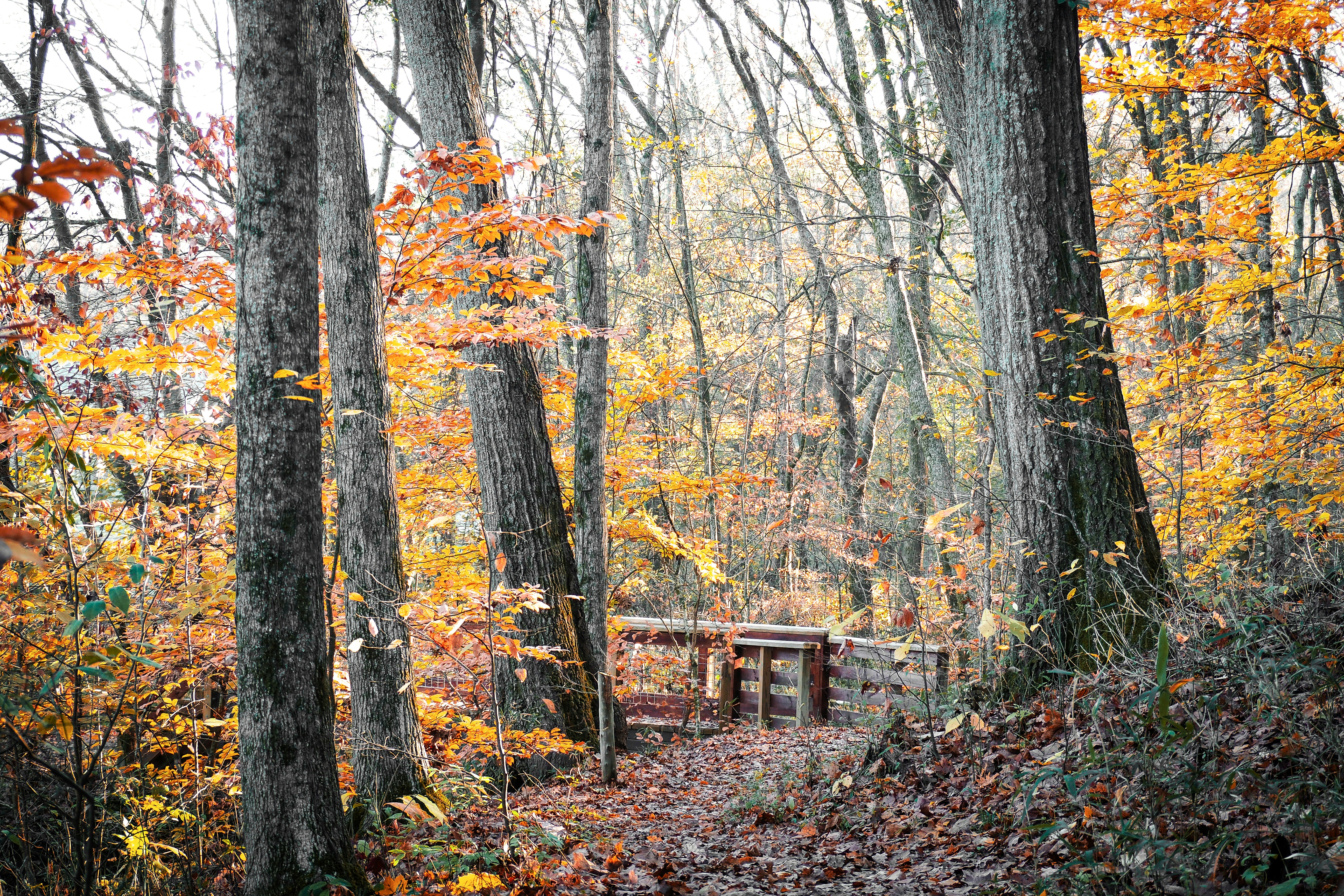 Photo by fieldworkframes