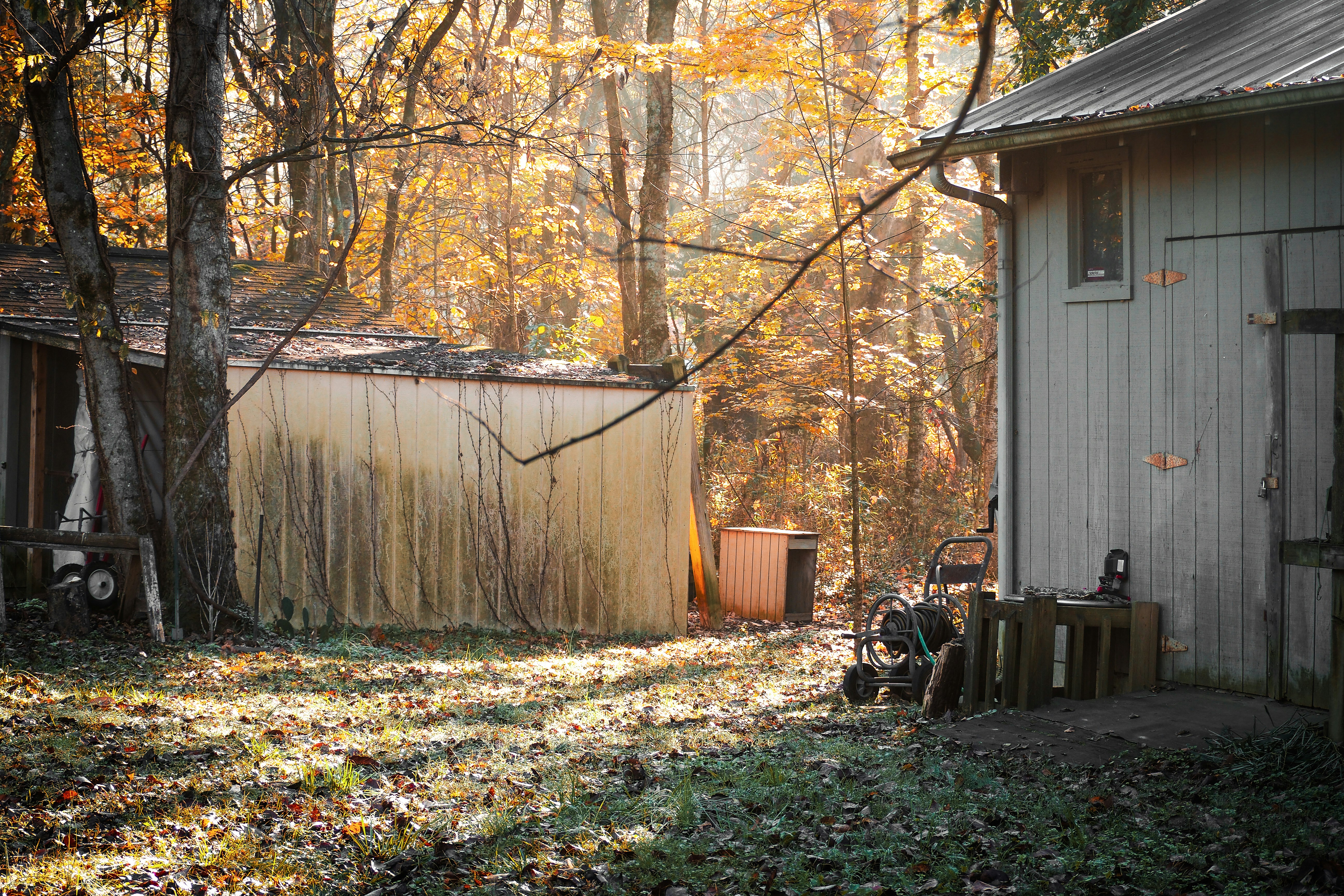 Photo by fieldworkframes