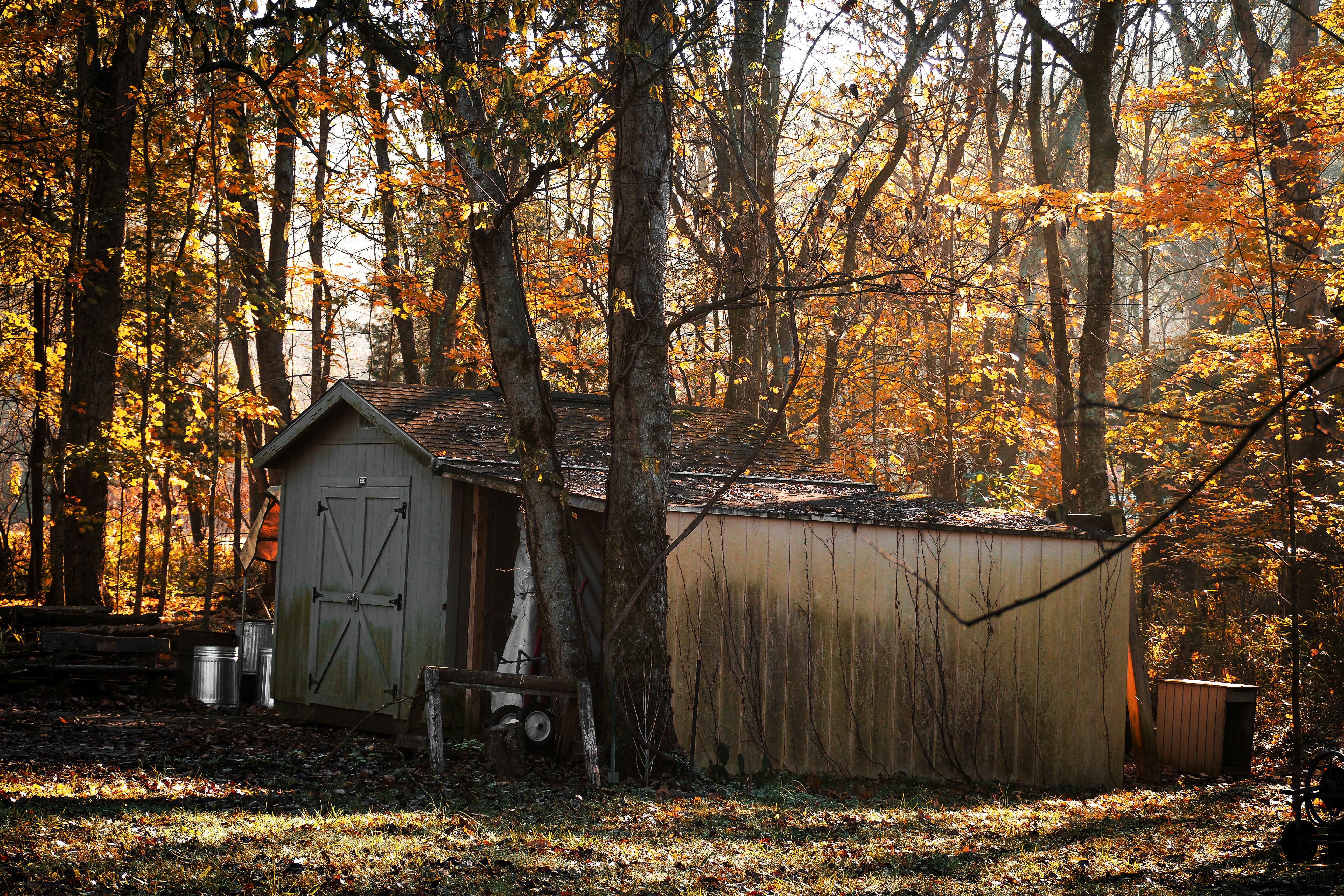 Photo by fieldworkframes