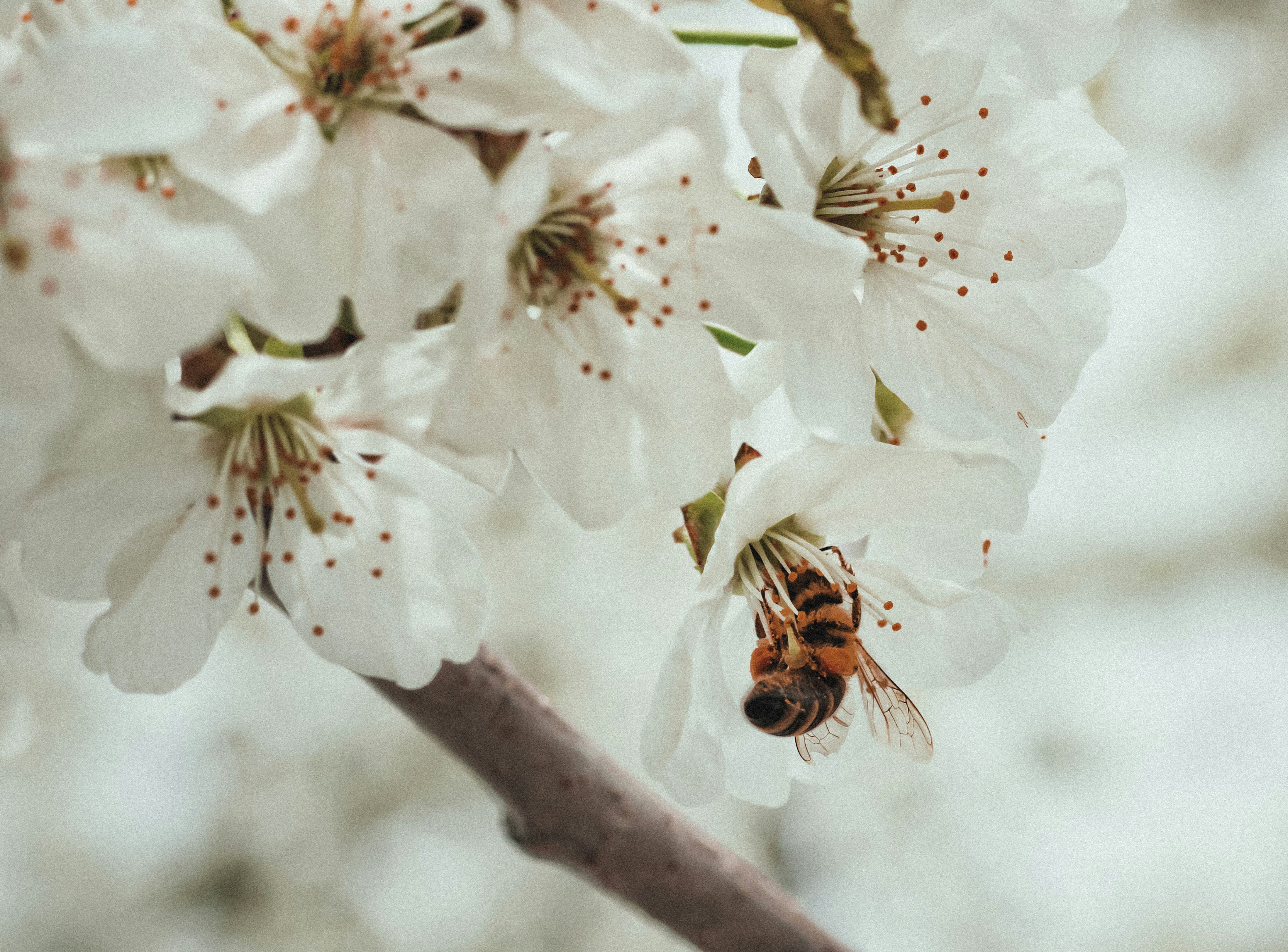 Photo by mineral_of_demon