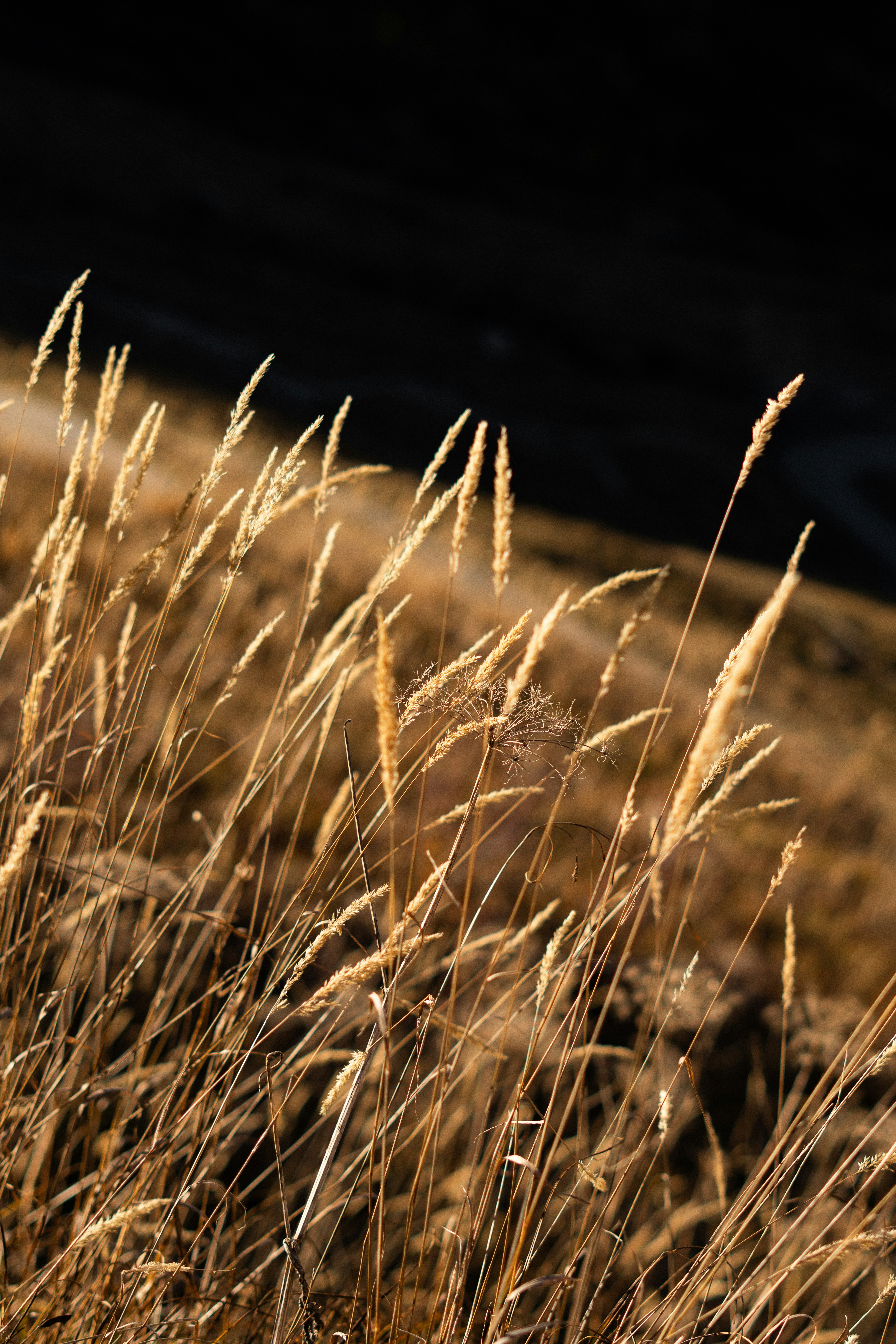 Photo by eliott_goutard