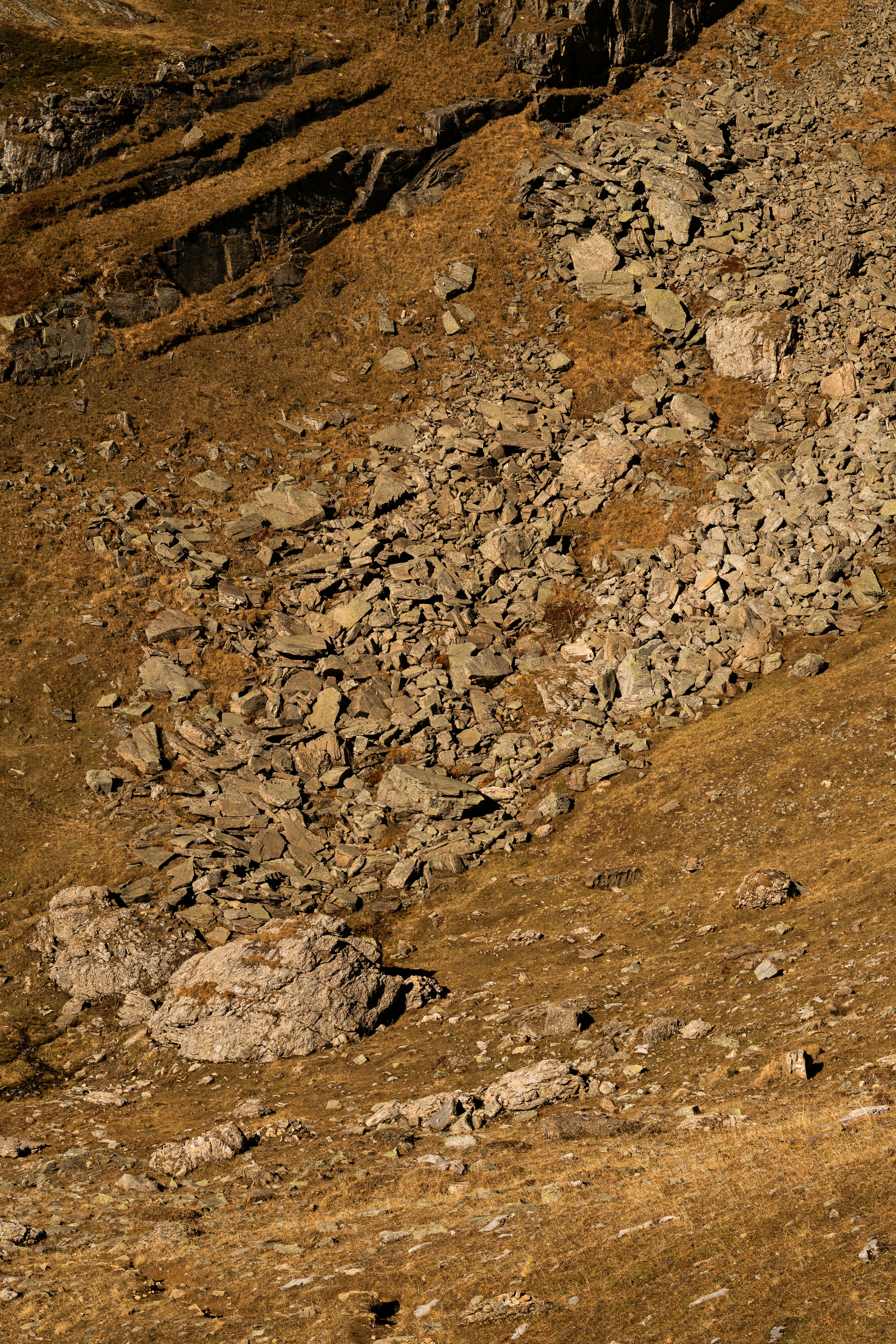 Photo by eliott_goutard