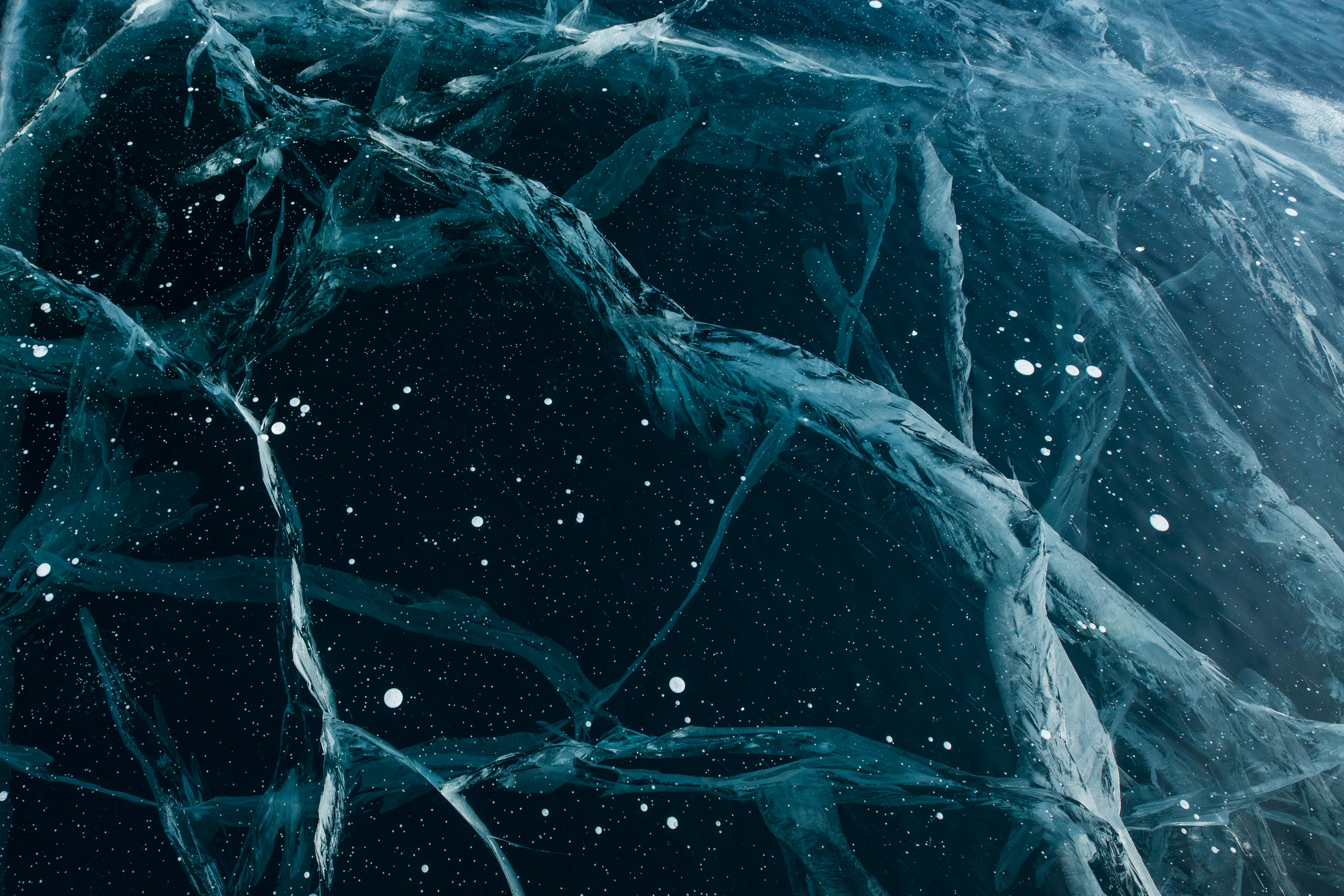 경비와 특수경비의 차이: 보안 업무의 명확한 구분