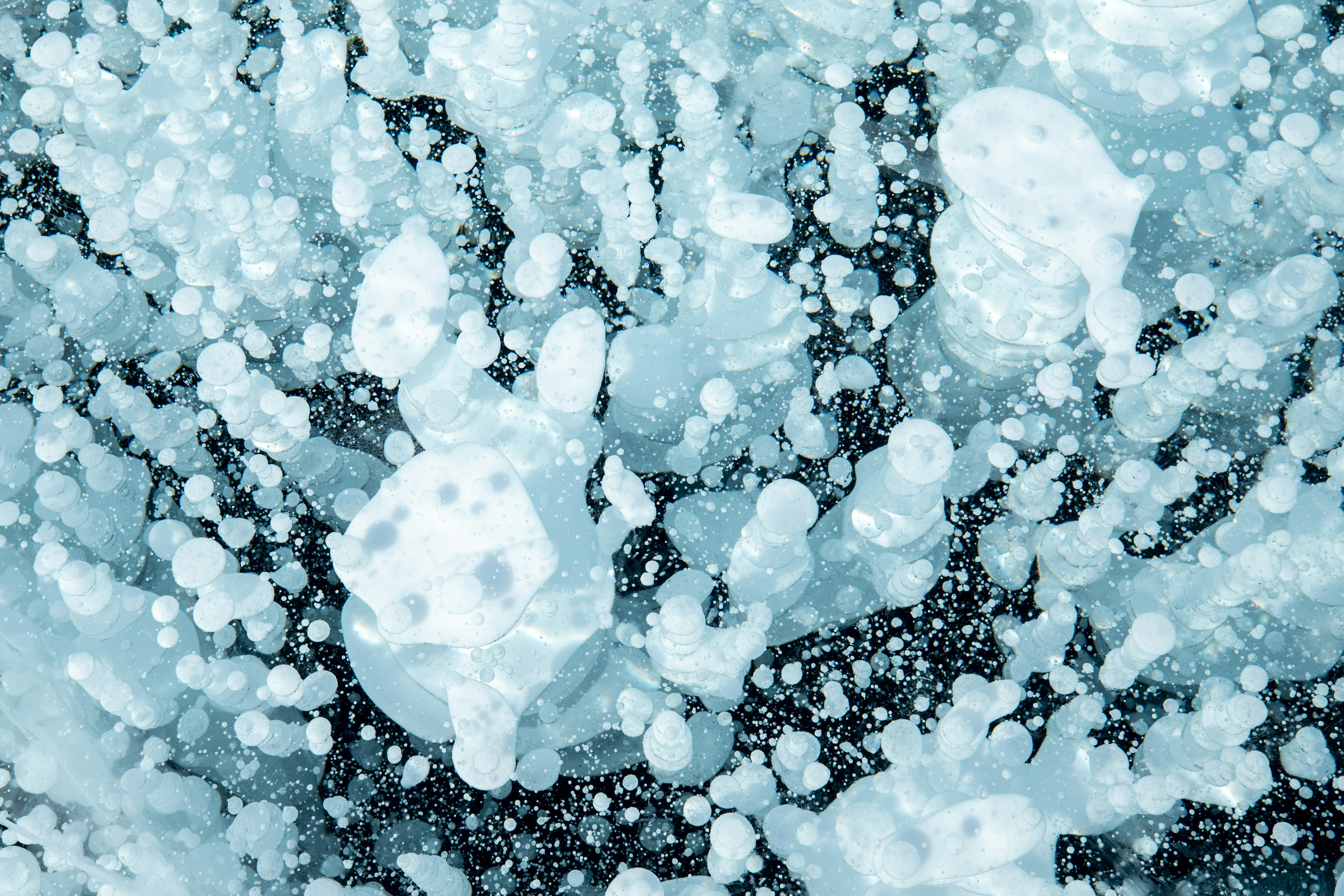 Photo by stef_enheart