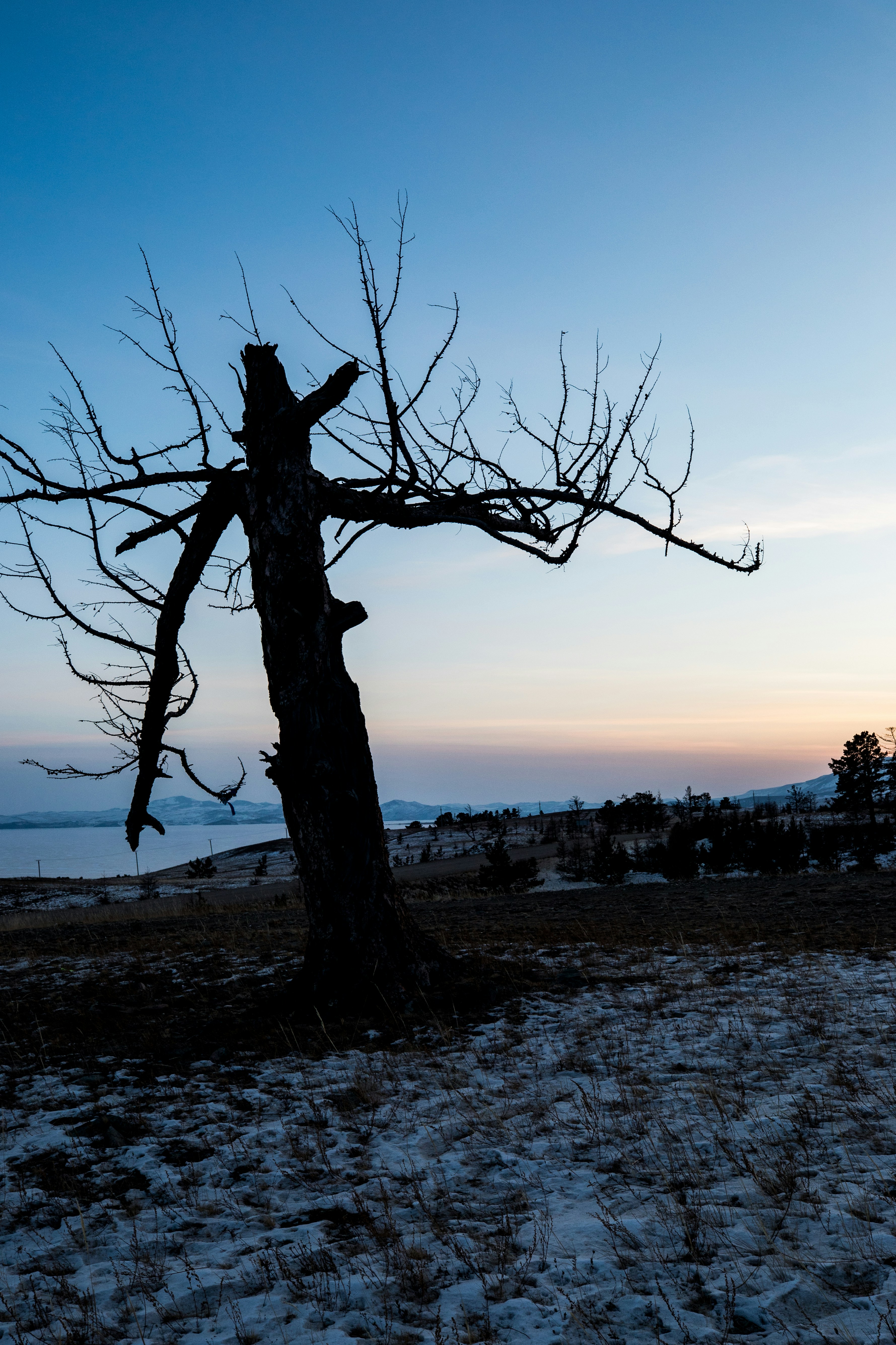 Photo by stef_enheart