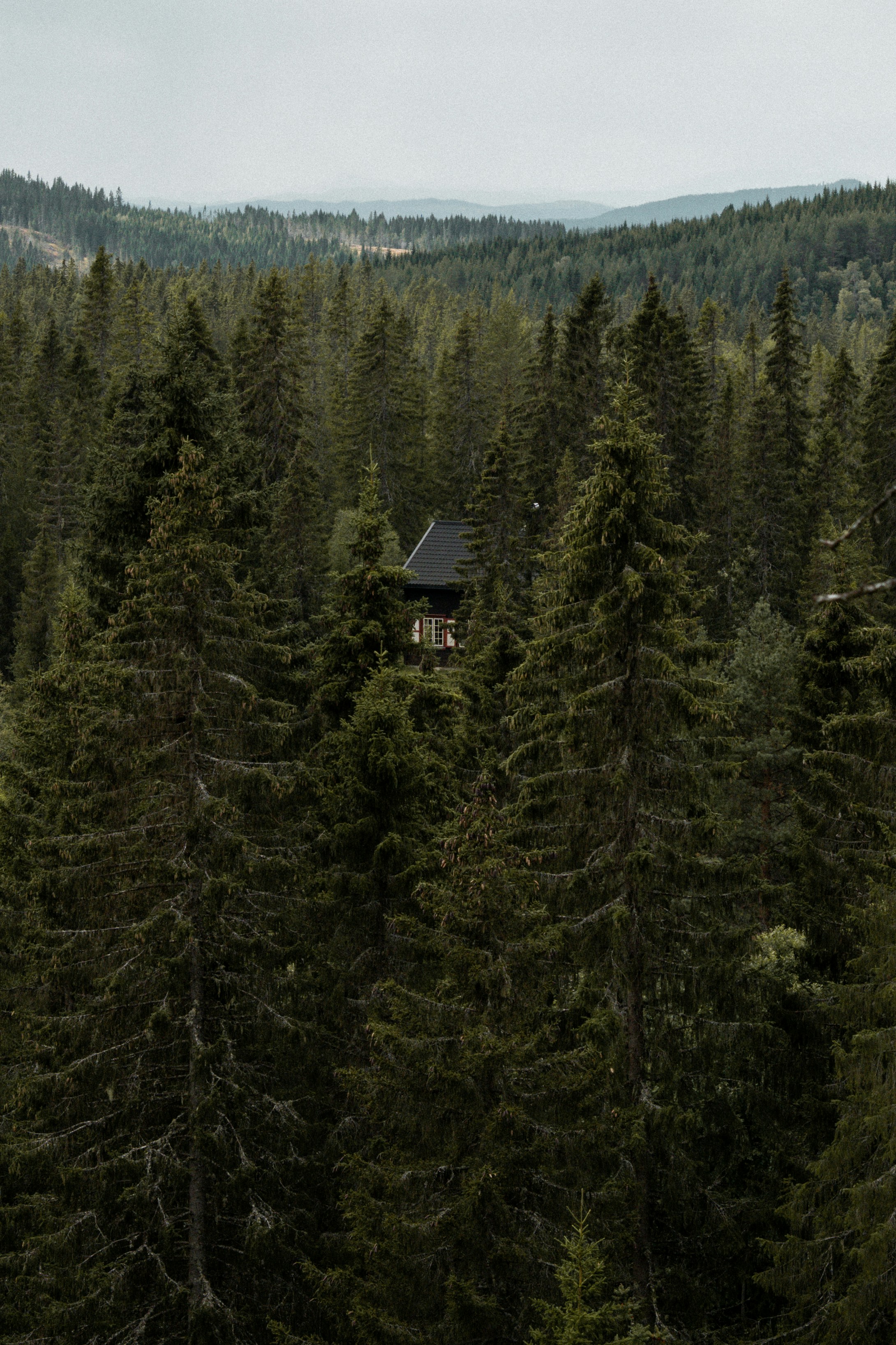 Photo by eliott_goutard