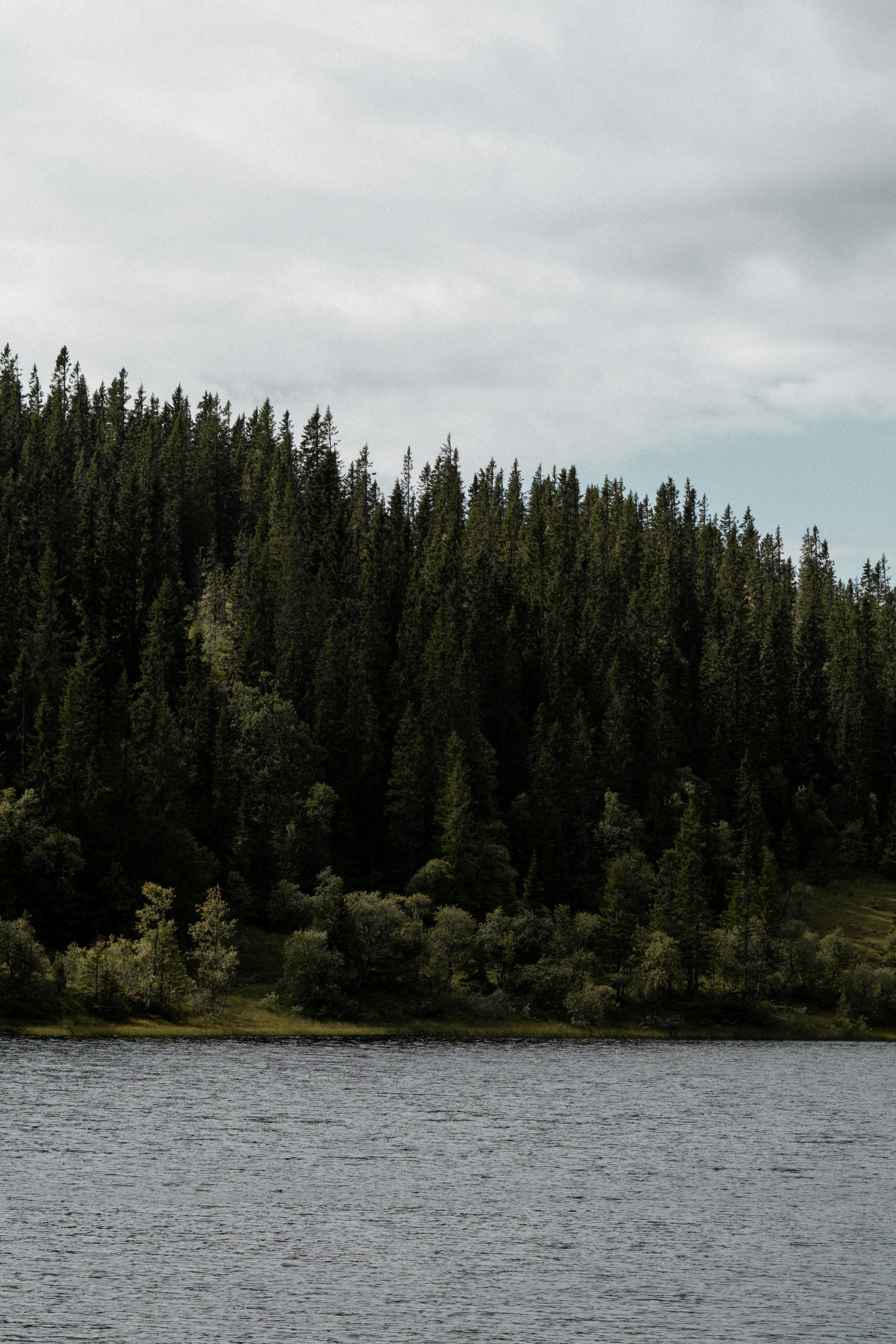 Photo by eliott_goutard