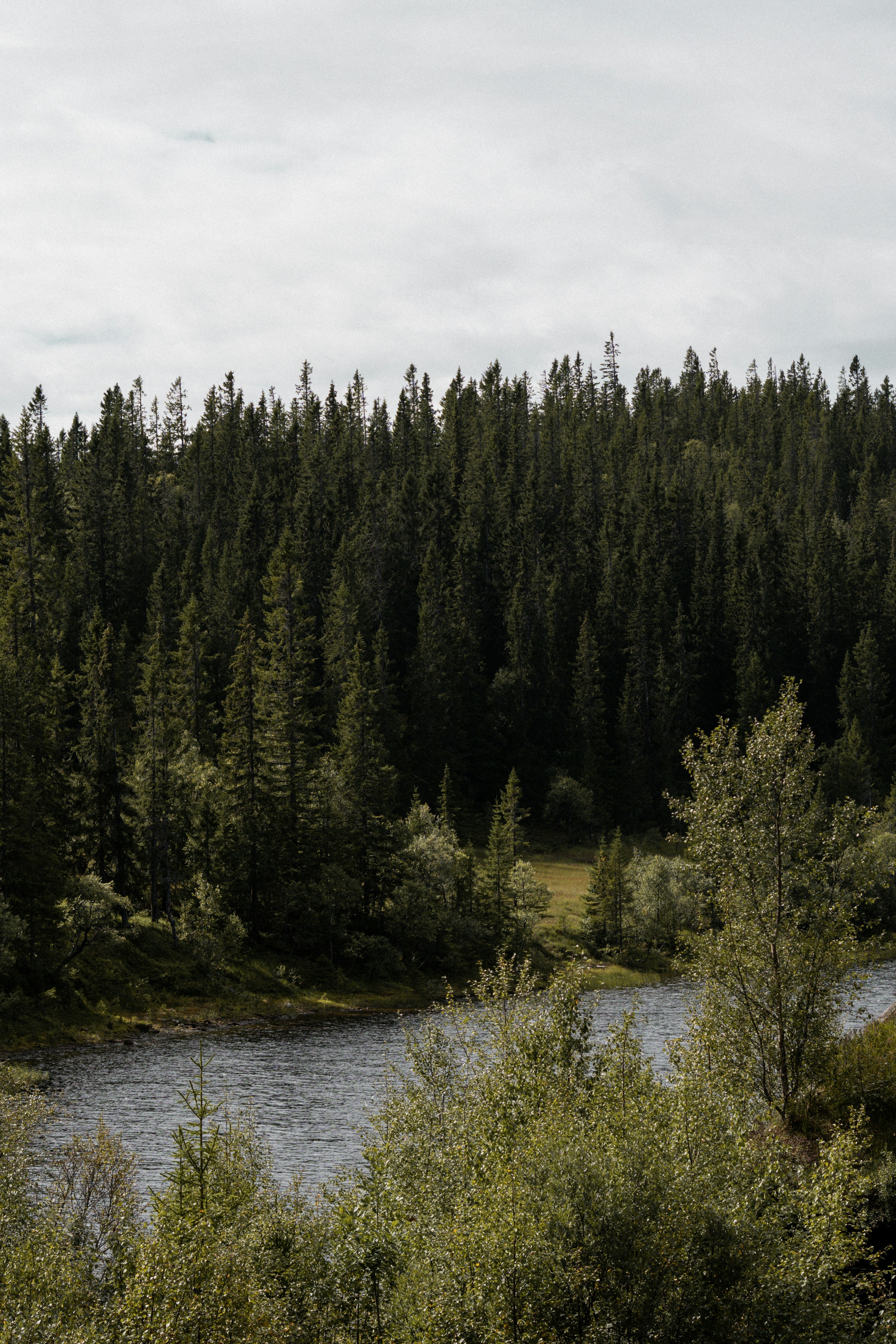 Photo by eliott_goutard