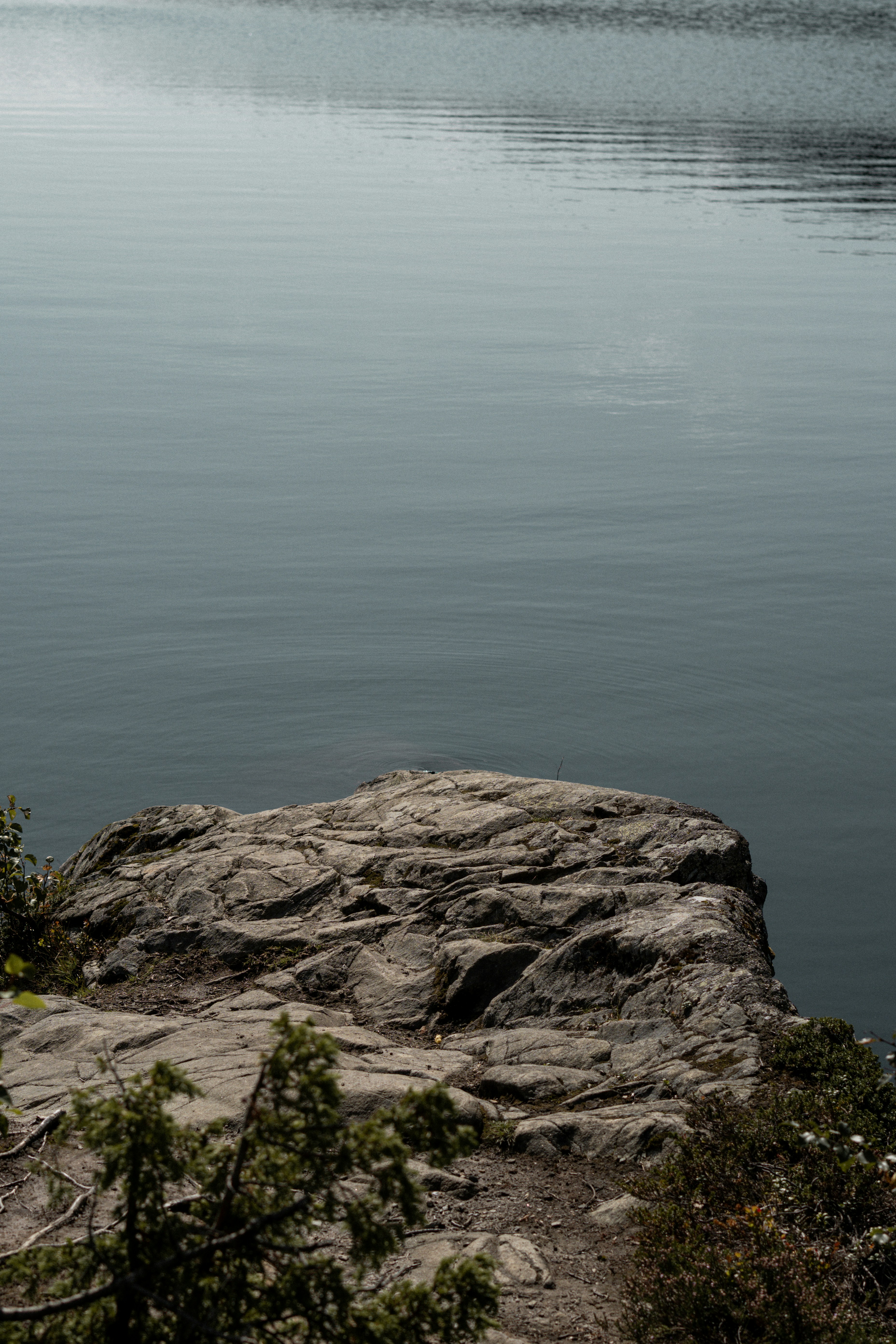 Photo by eliott_goutard