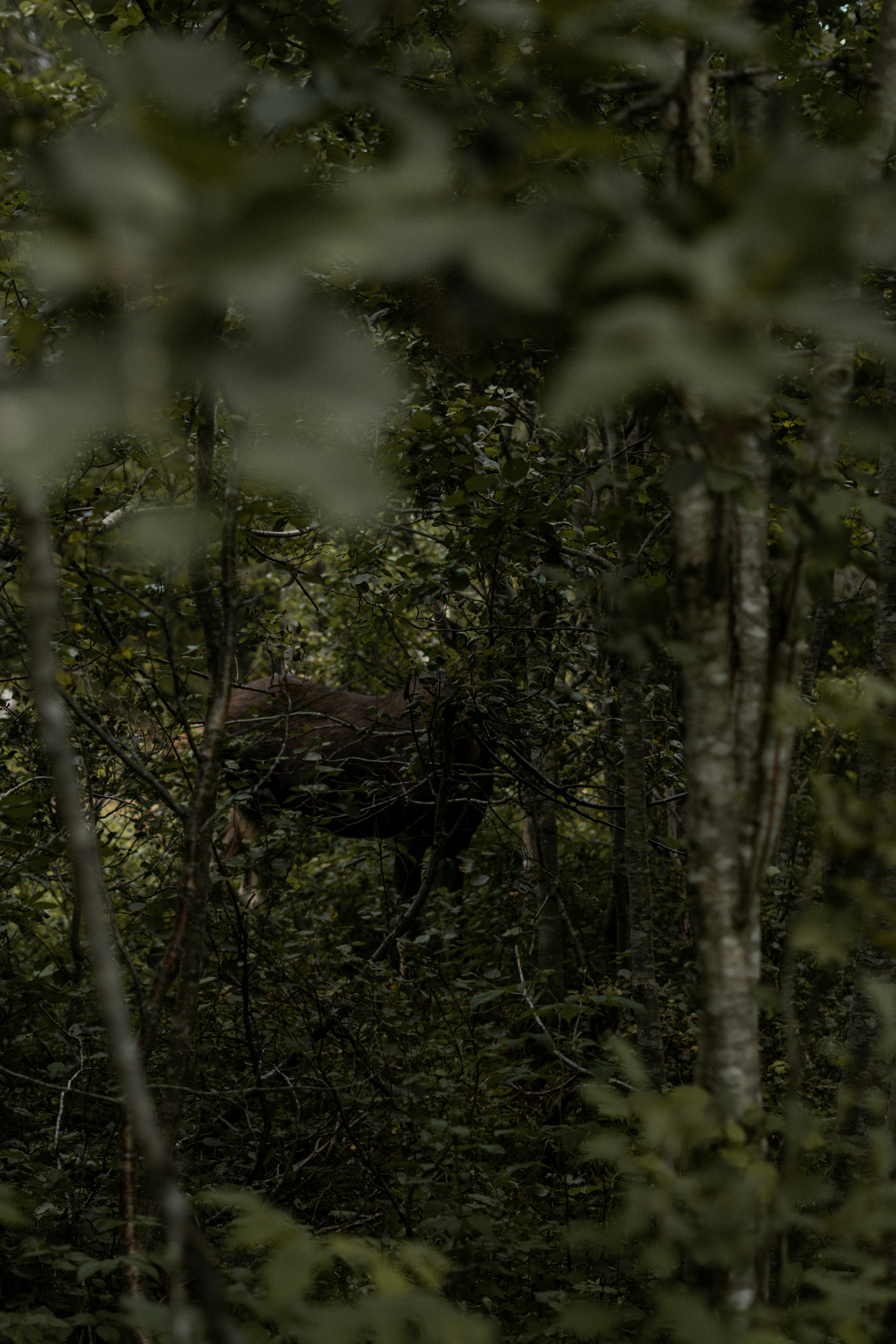 Photo by eliott_goutard