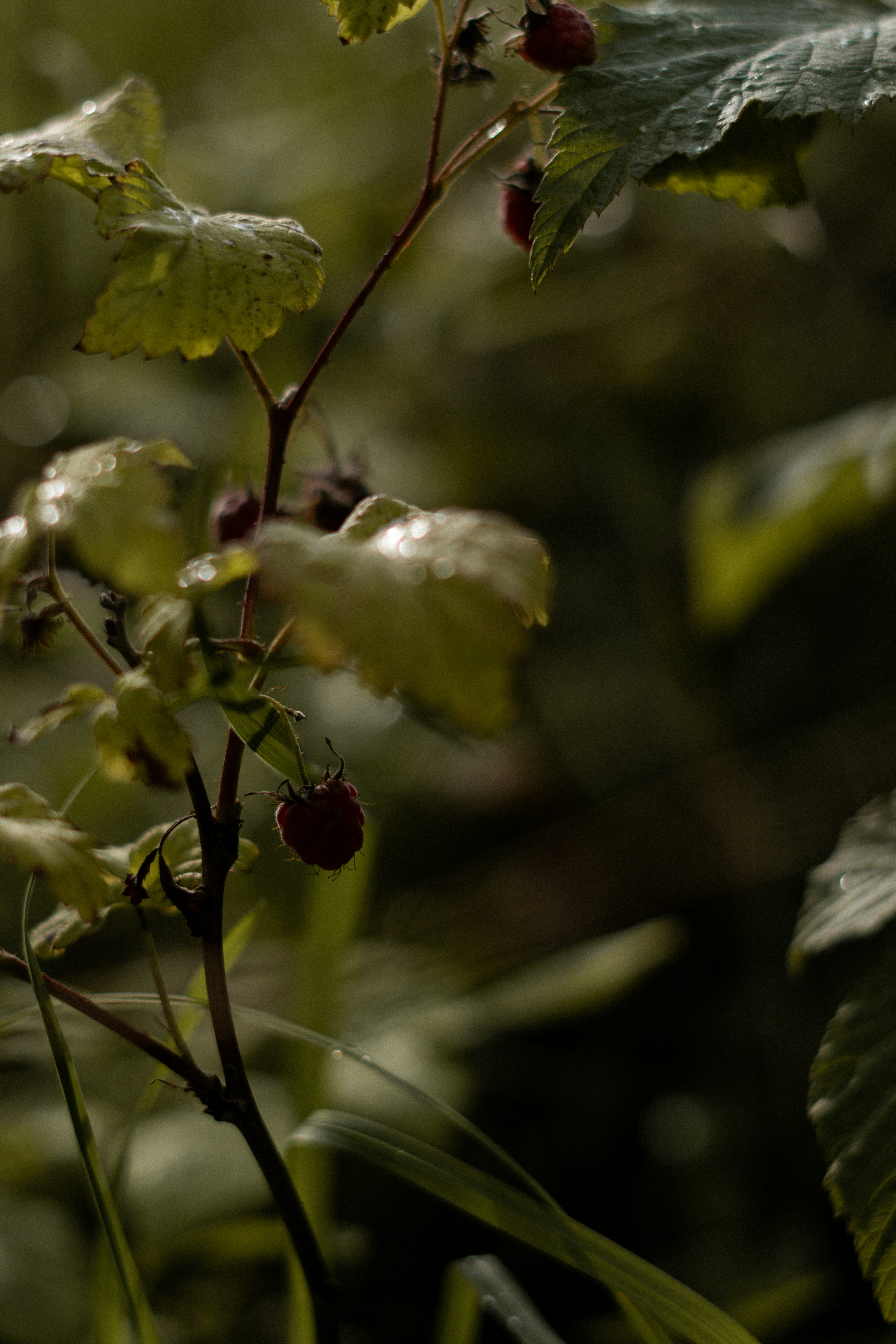 Photo by eliott_goutard