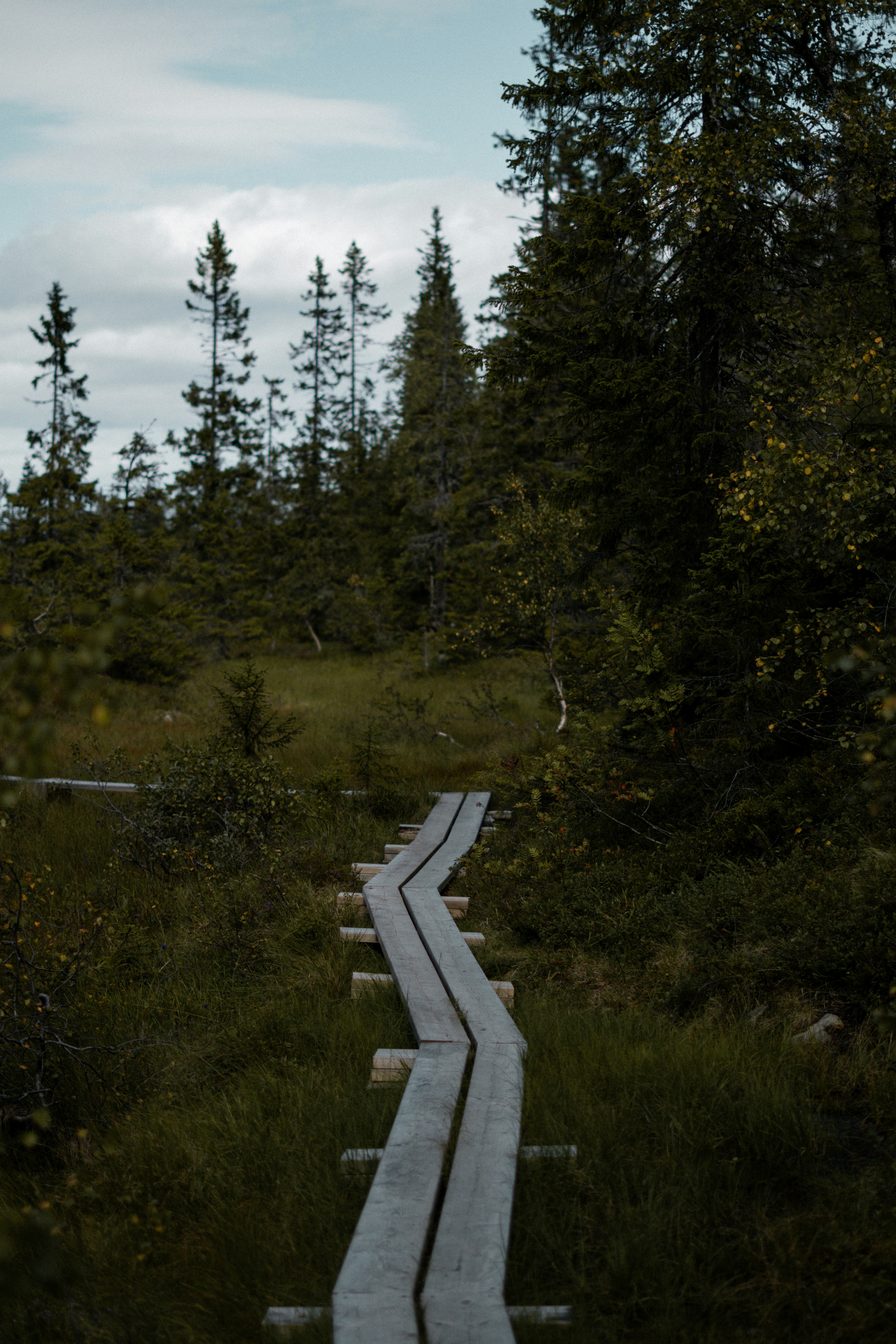 Photo by eliott_goutard