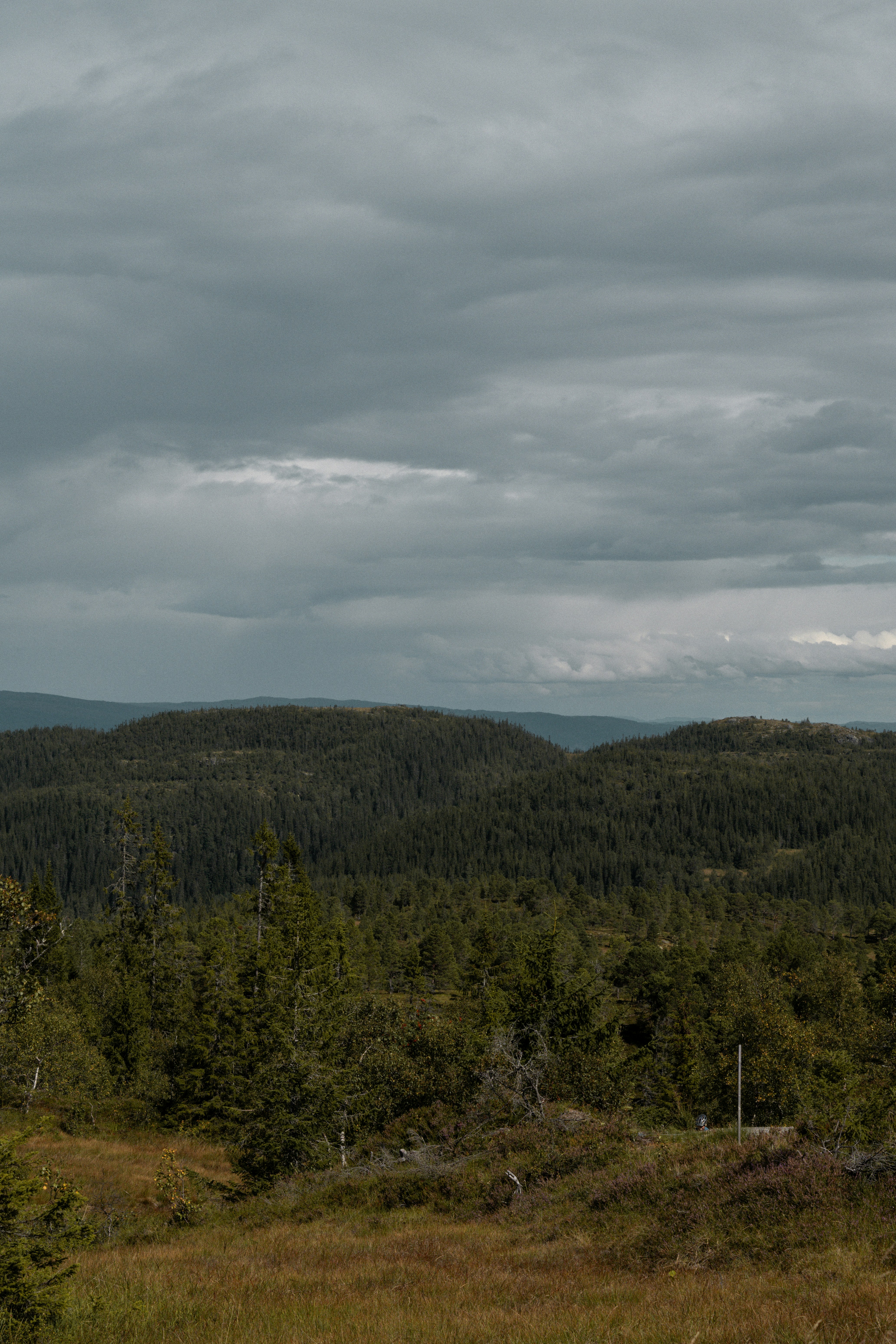 Photo by eliott_goutard