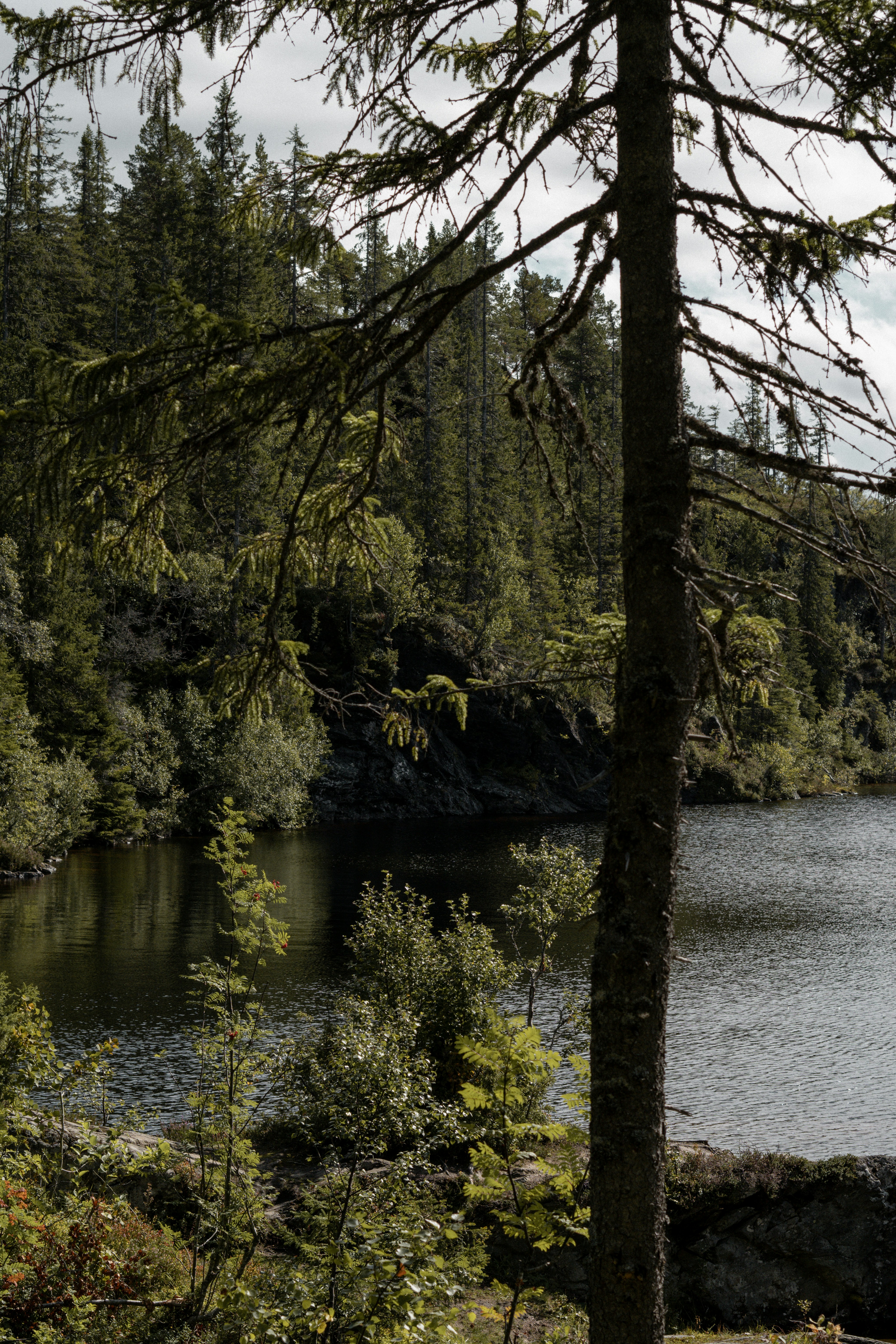 Photo by eliott_goutard